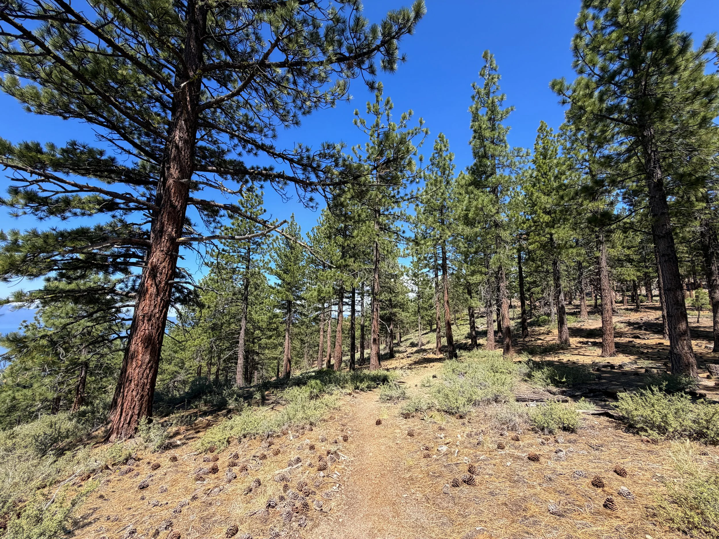 Captain Pomin Trail Lake Tahoe Nevada