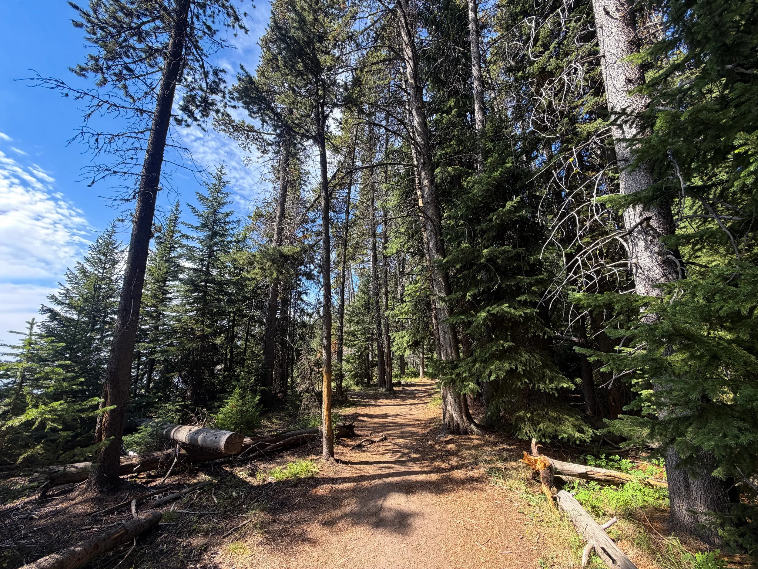 Storm Point Loop Trail Yellowstone National Park Wyoming
