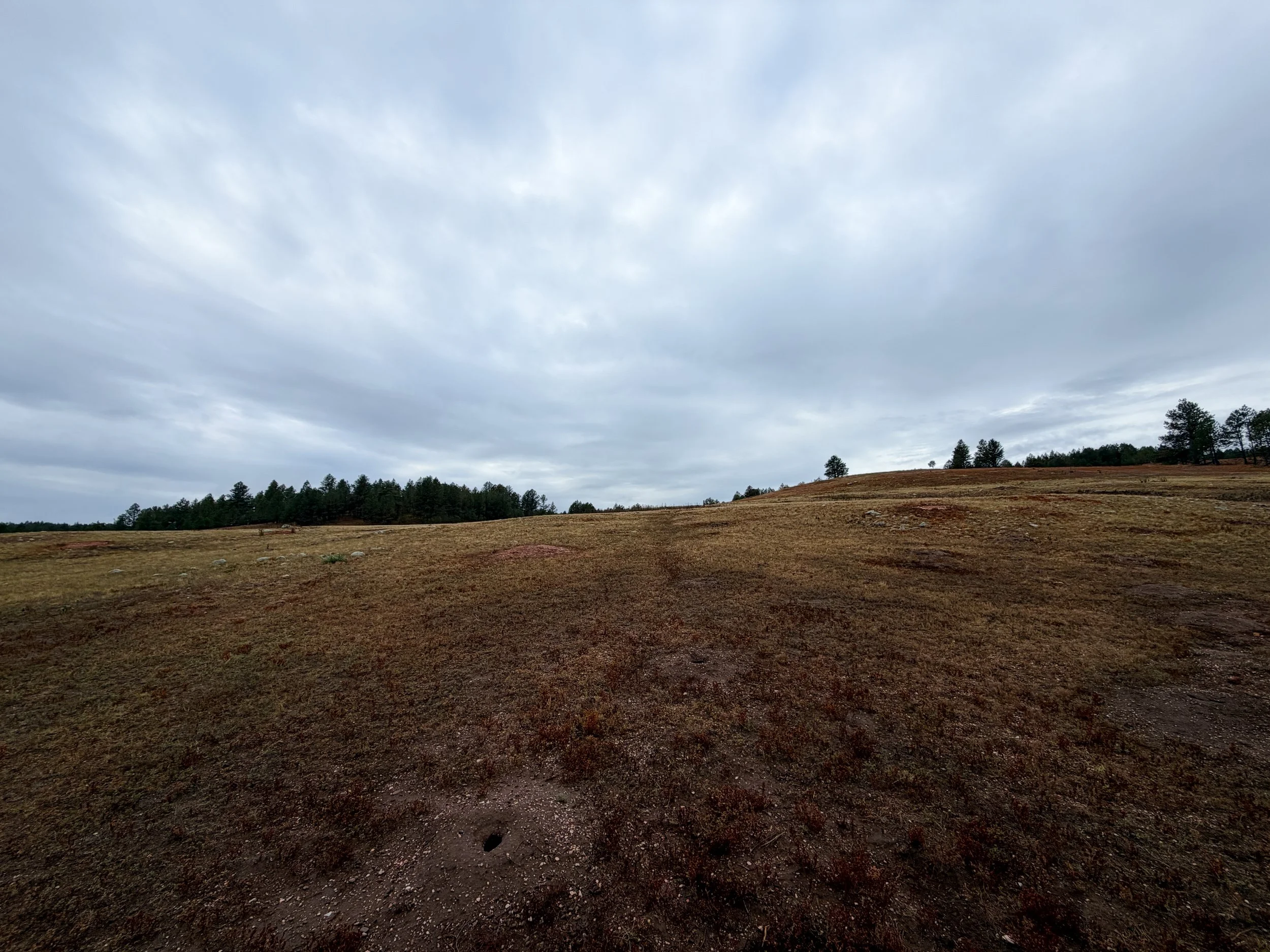 Highland Creek Trail Wind Cave National Park South Dakota