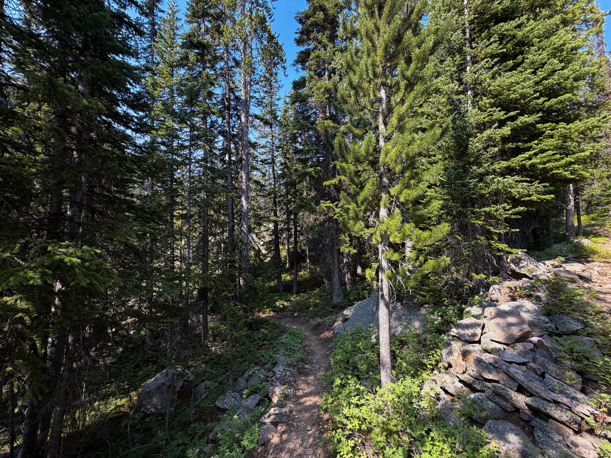 East Rosebud Trail The Beaten Path Beartooth Mountains Montana