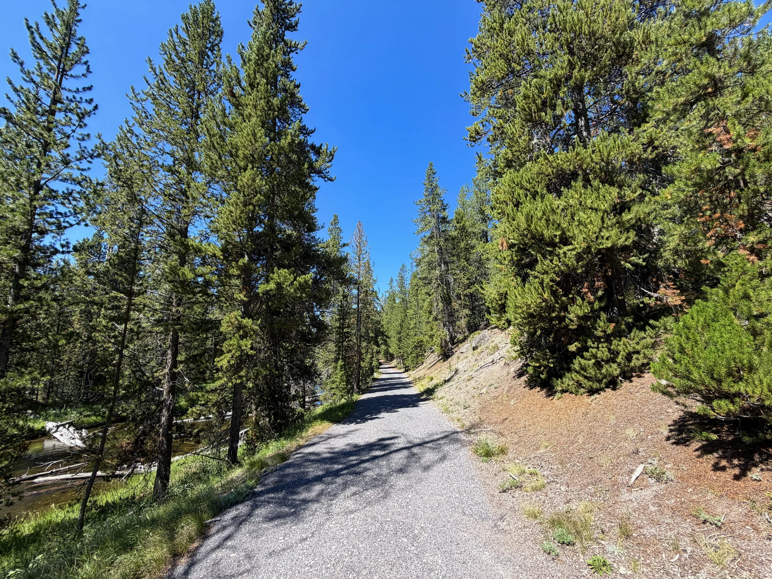 Lone Star Trail Yellowstone National Park Wyoming