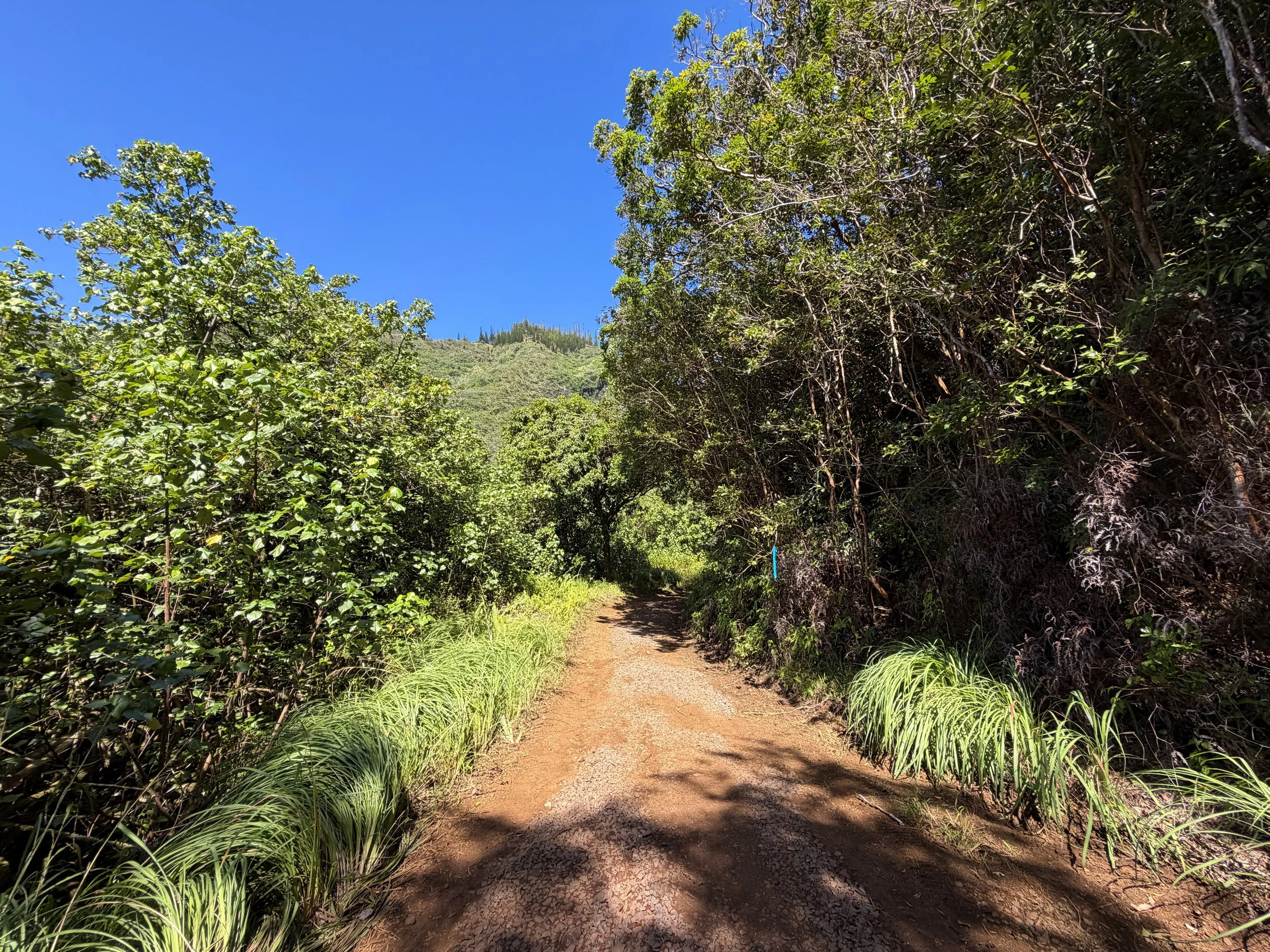 Kulanaahane Trail Oahu Hawaii