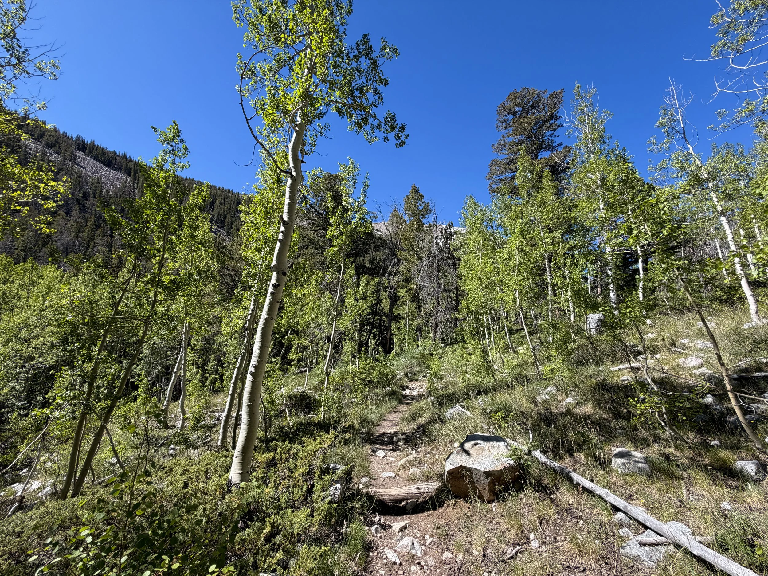Baker Lake Trail Great Basin National Park Nevada