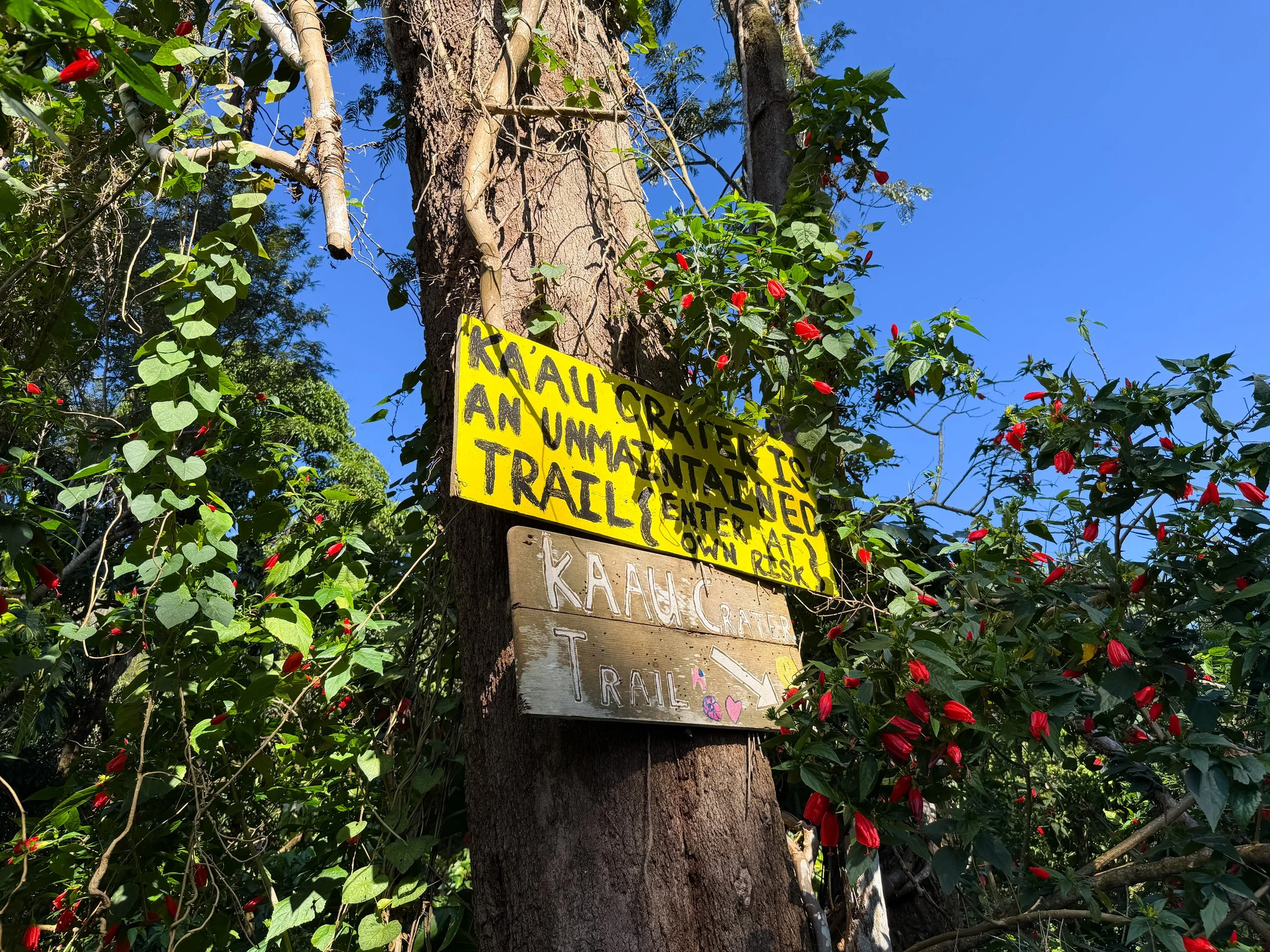 Kaau Crater Trailhead Oahu Hawaii