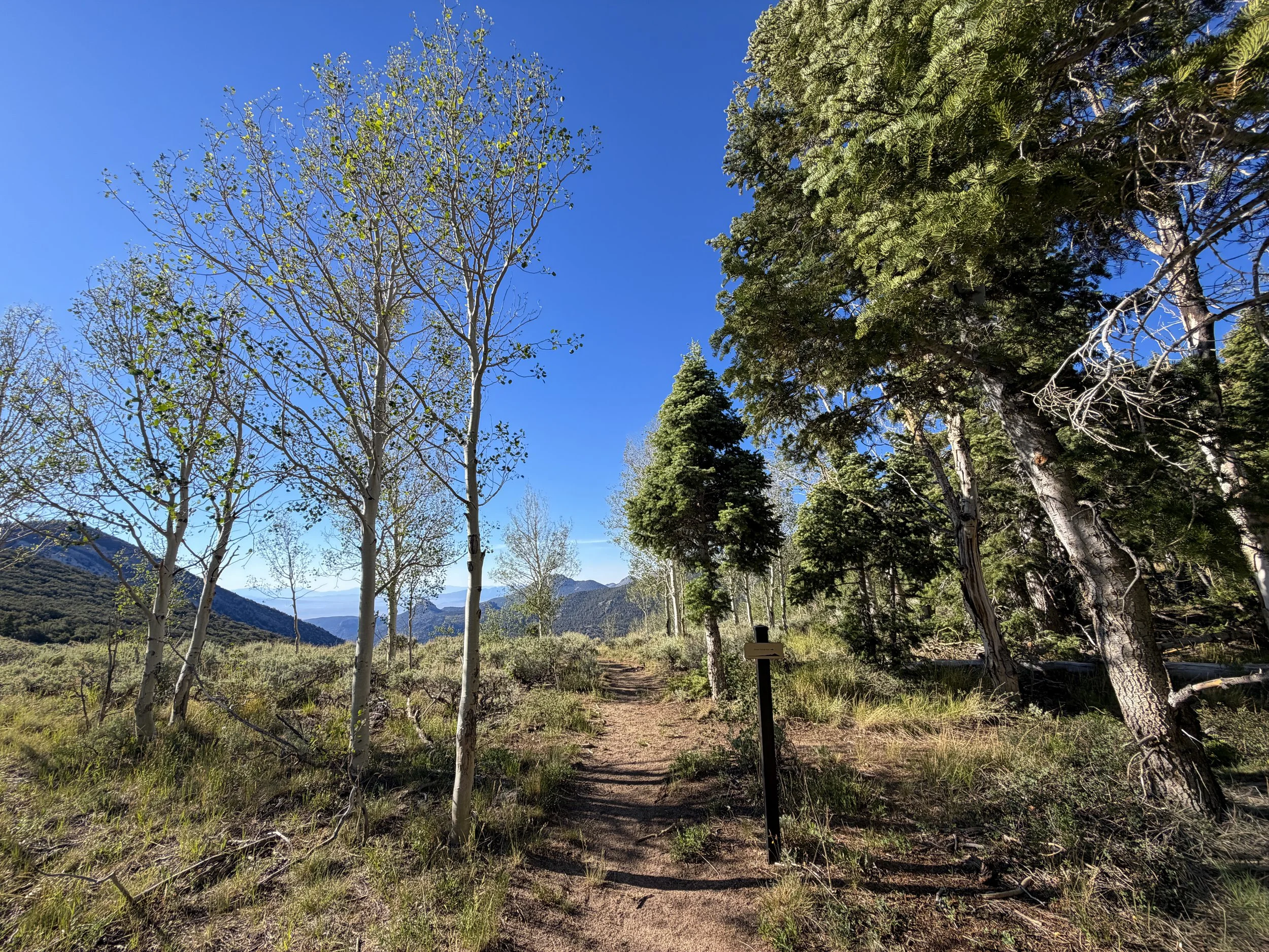 Snake Divide Trail Great Basin National Park Nevada