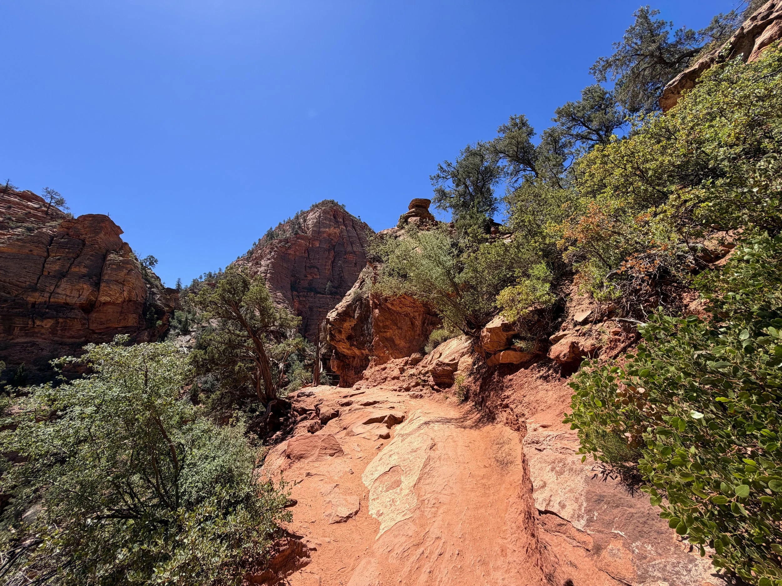 Canyon Overlook Hike Zion National Park Utah