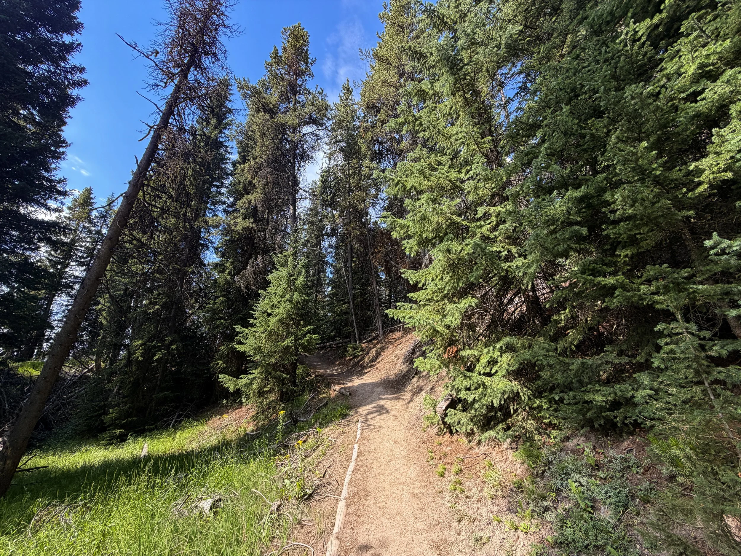 Storm Point Trail Yellowstone National Park Wyoming