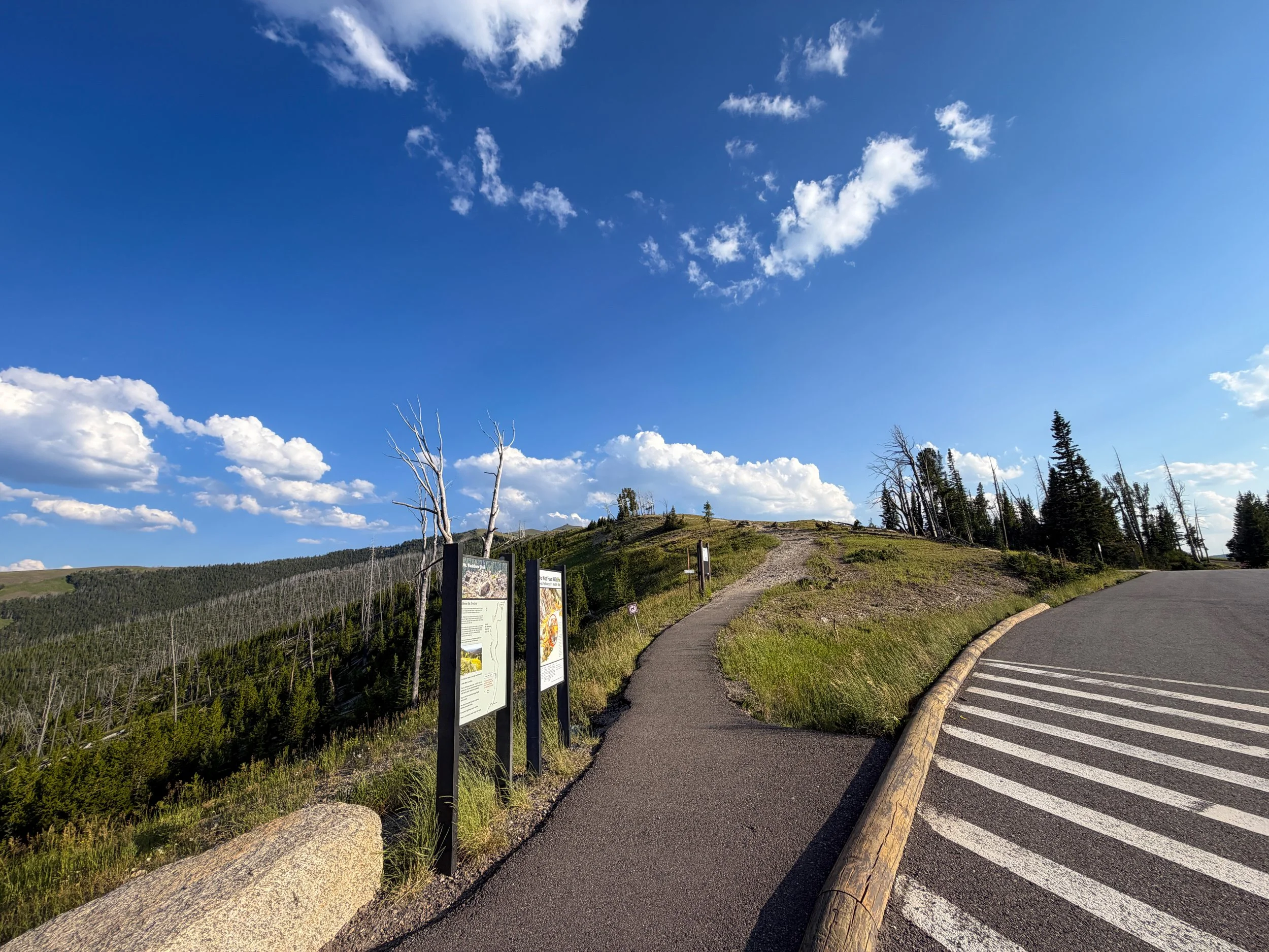 North Mt. Washburn Trailhead Yellowstone National Park Wyoming