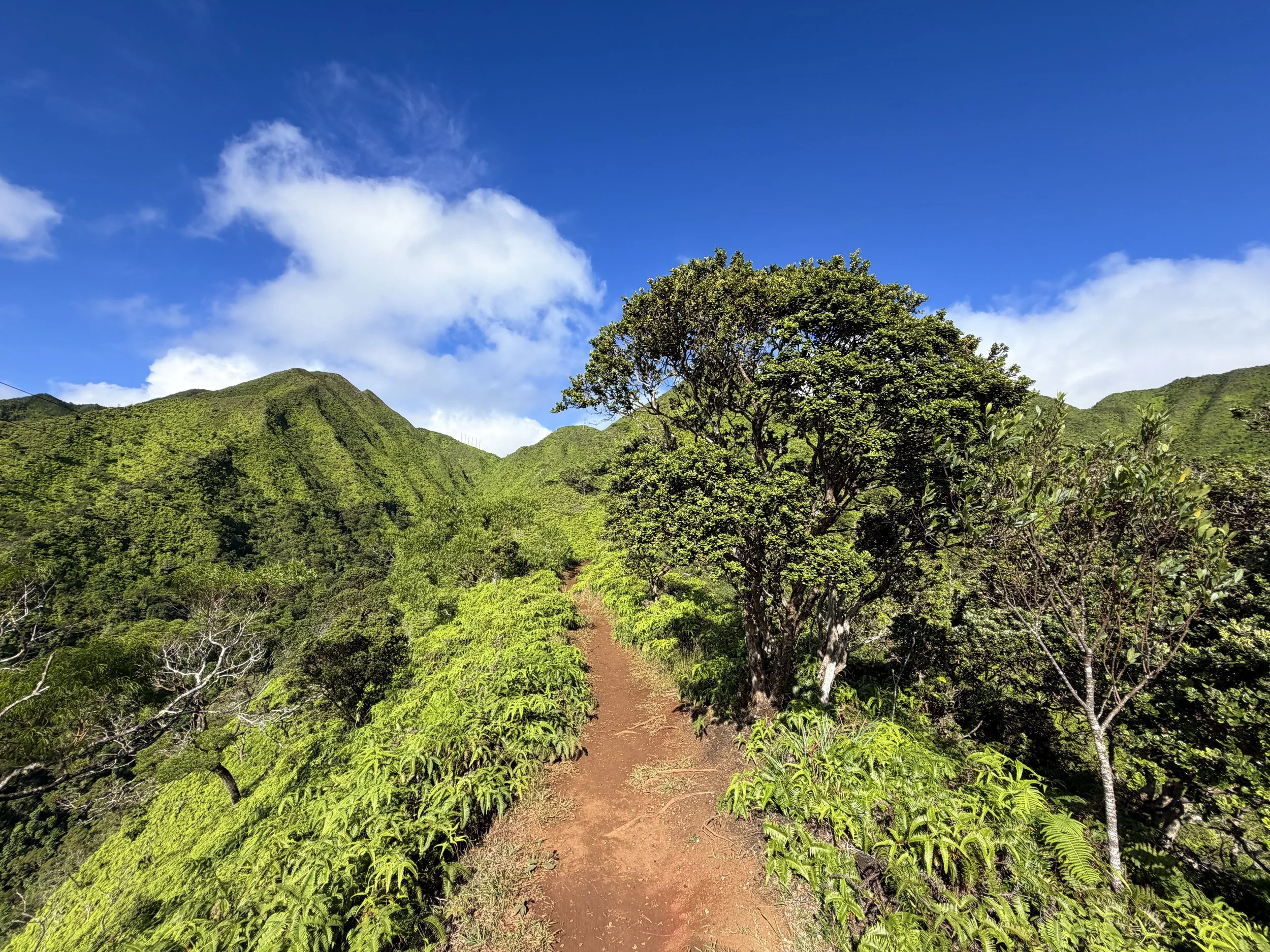 Wiliwilinui Ridge Hike Oahu Hawaii