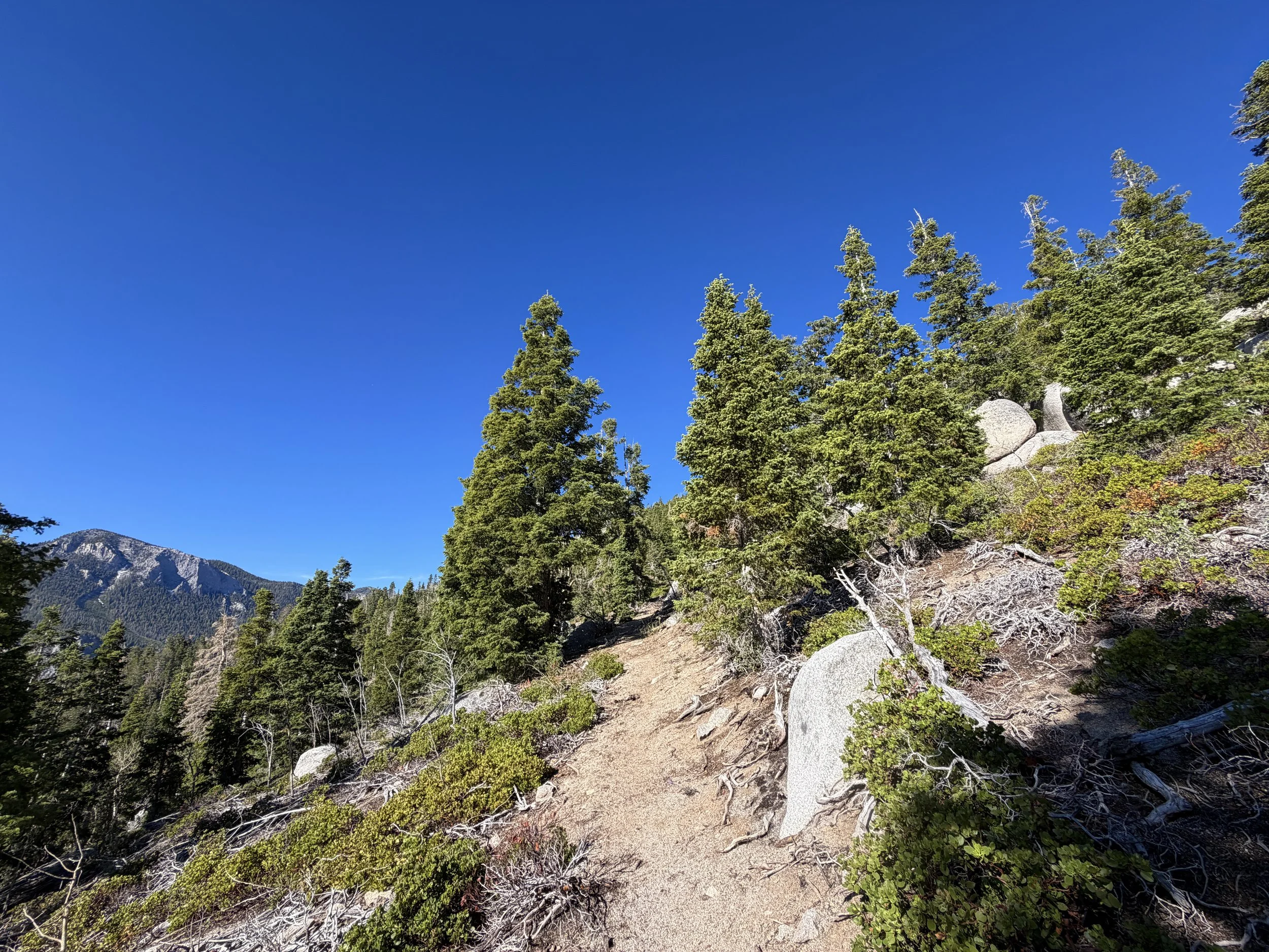 Snake Divide Trail to Mt Washington Great Basin National Park Nevada