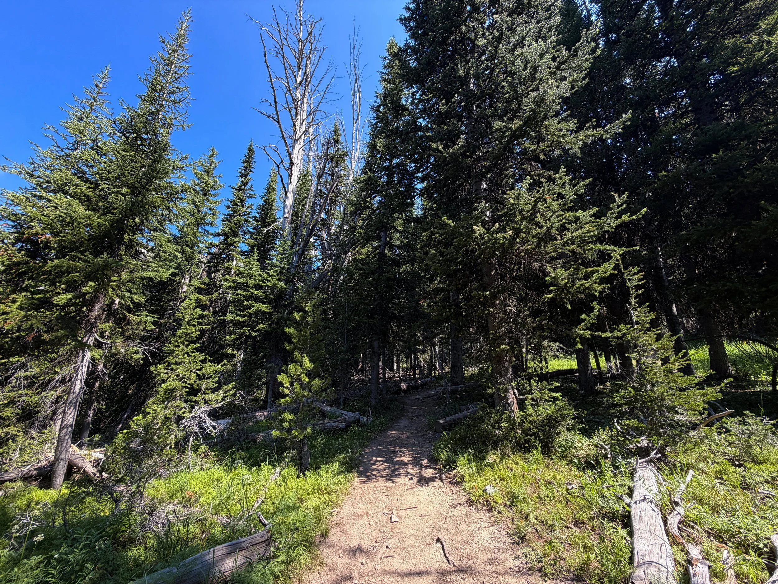 Avalanche Peak Hike Yellowstone National Park Wyoming