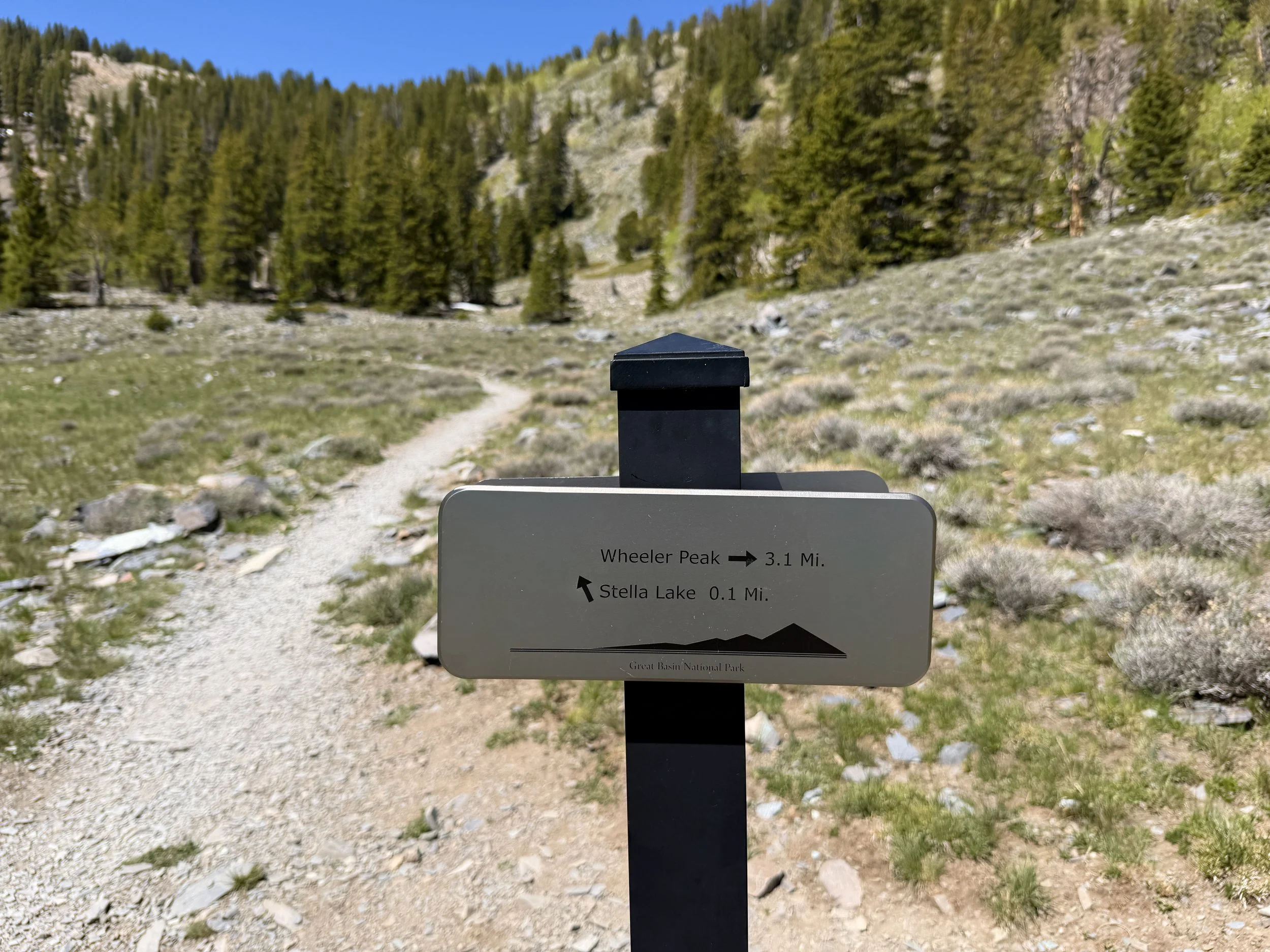 Wheeler Peak Trail Great Basin National Park Nevada