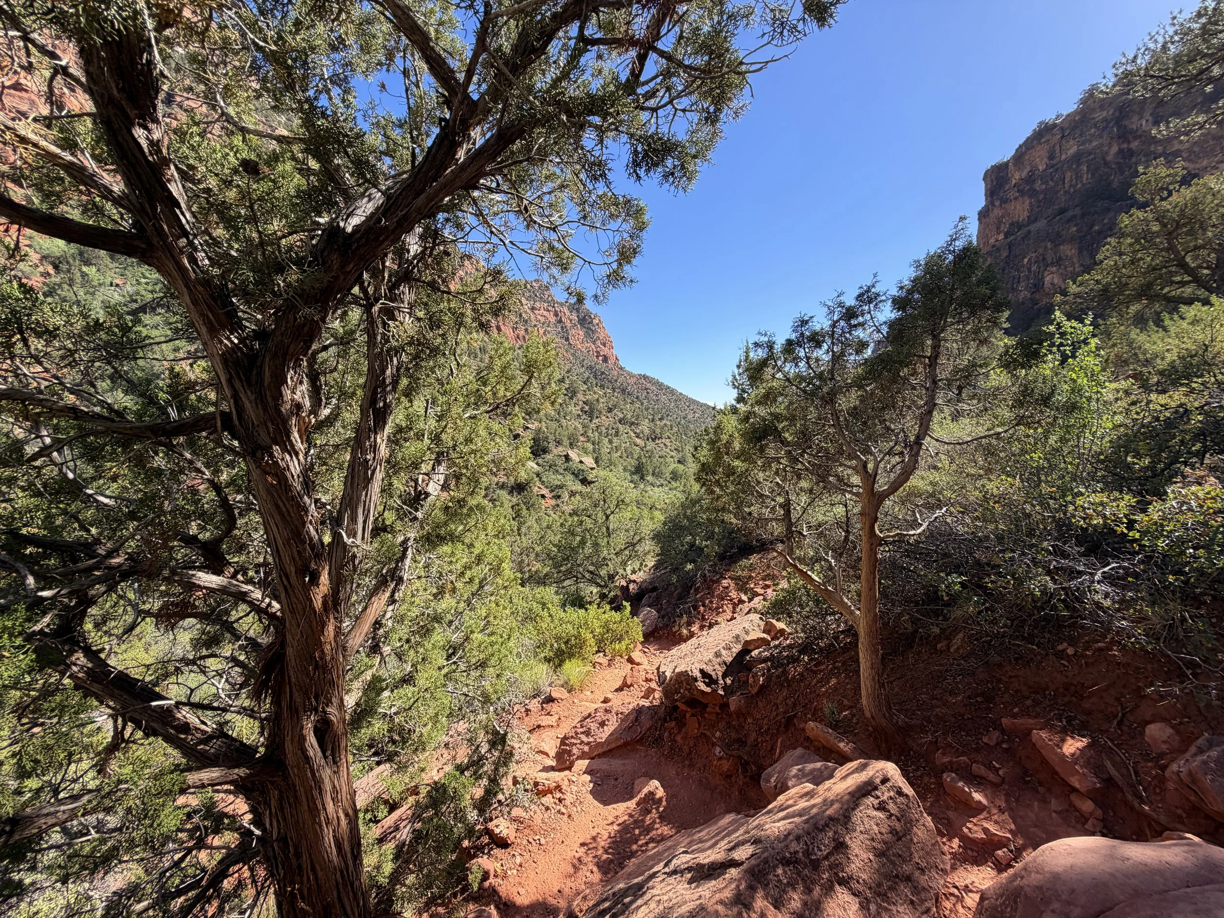 Subway Trail Left Fork North Creek Zion National Park Utah
