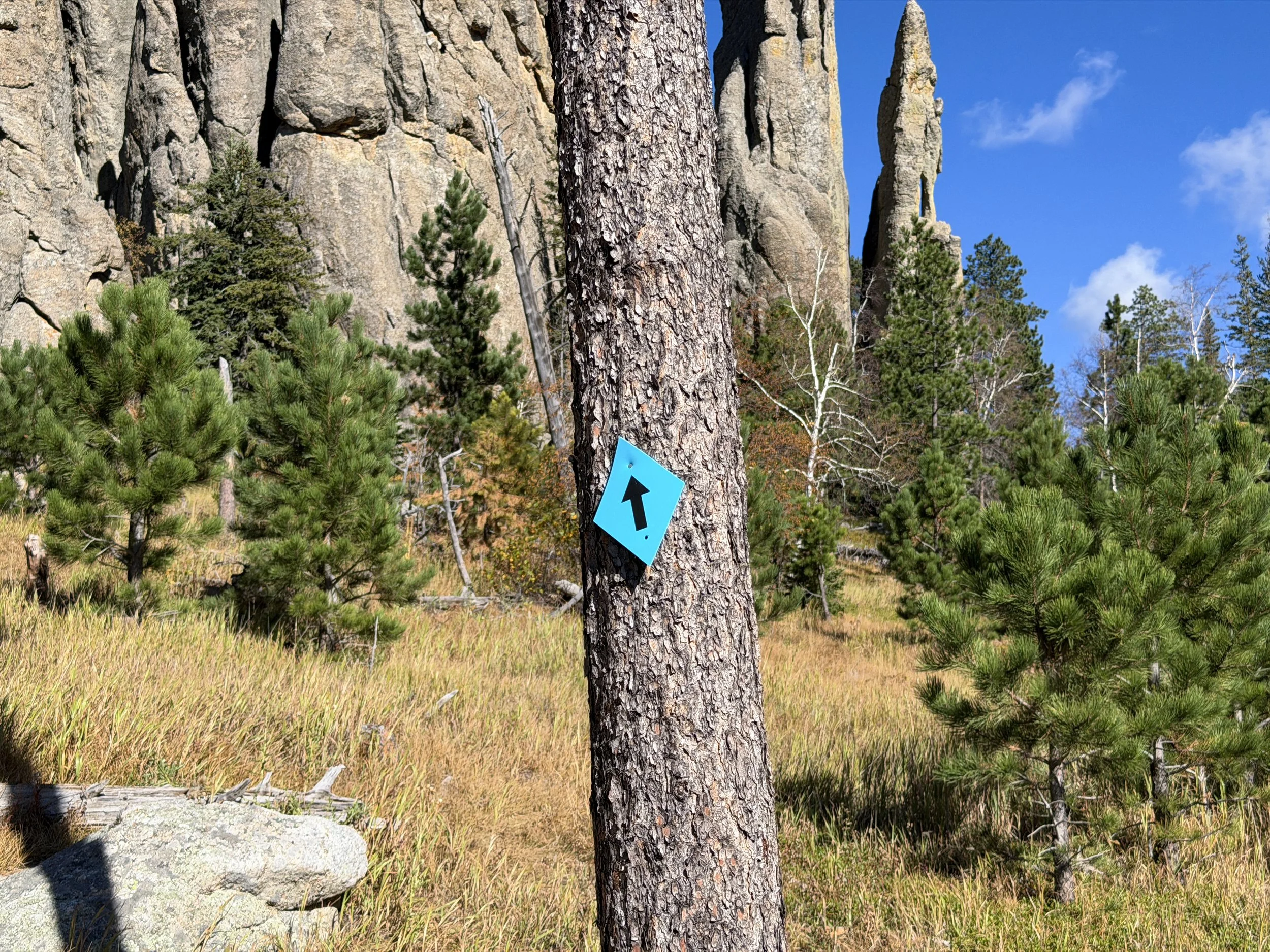 Cathedral Spires Trail Custer State Park Black Hills South Dakota