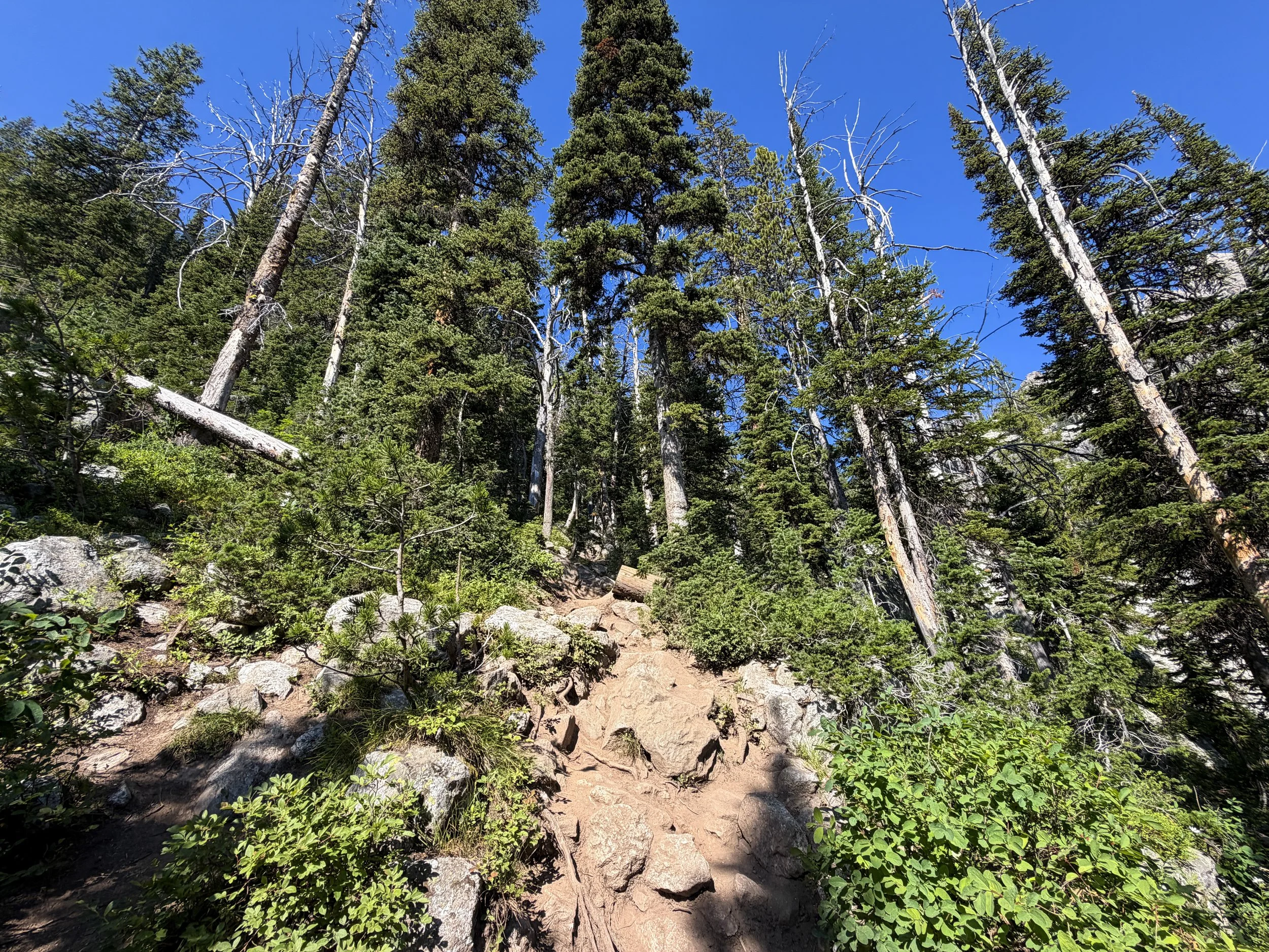 Delta Lake Trail Grand Teton National Park Wyoming