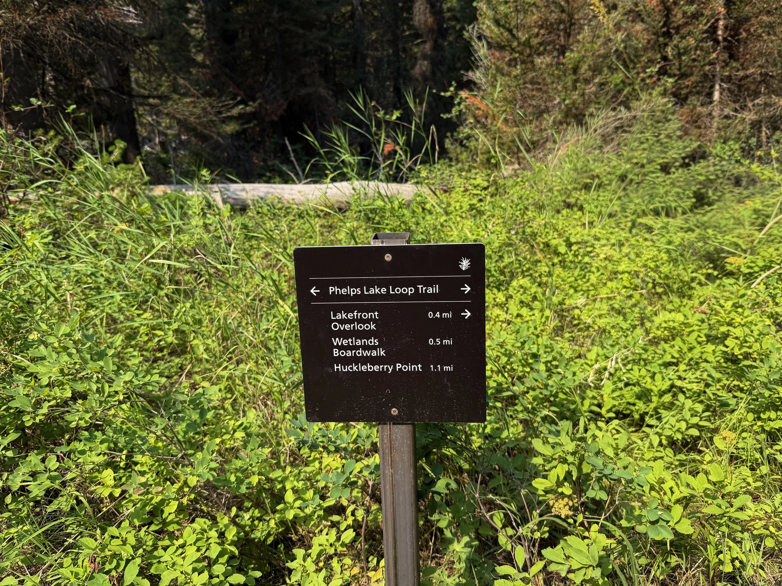 Boulder Ridge Trail Grand Teton National Park Wyoming