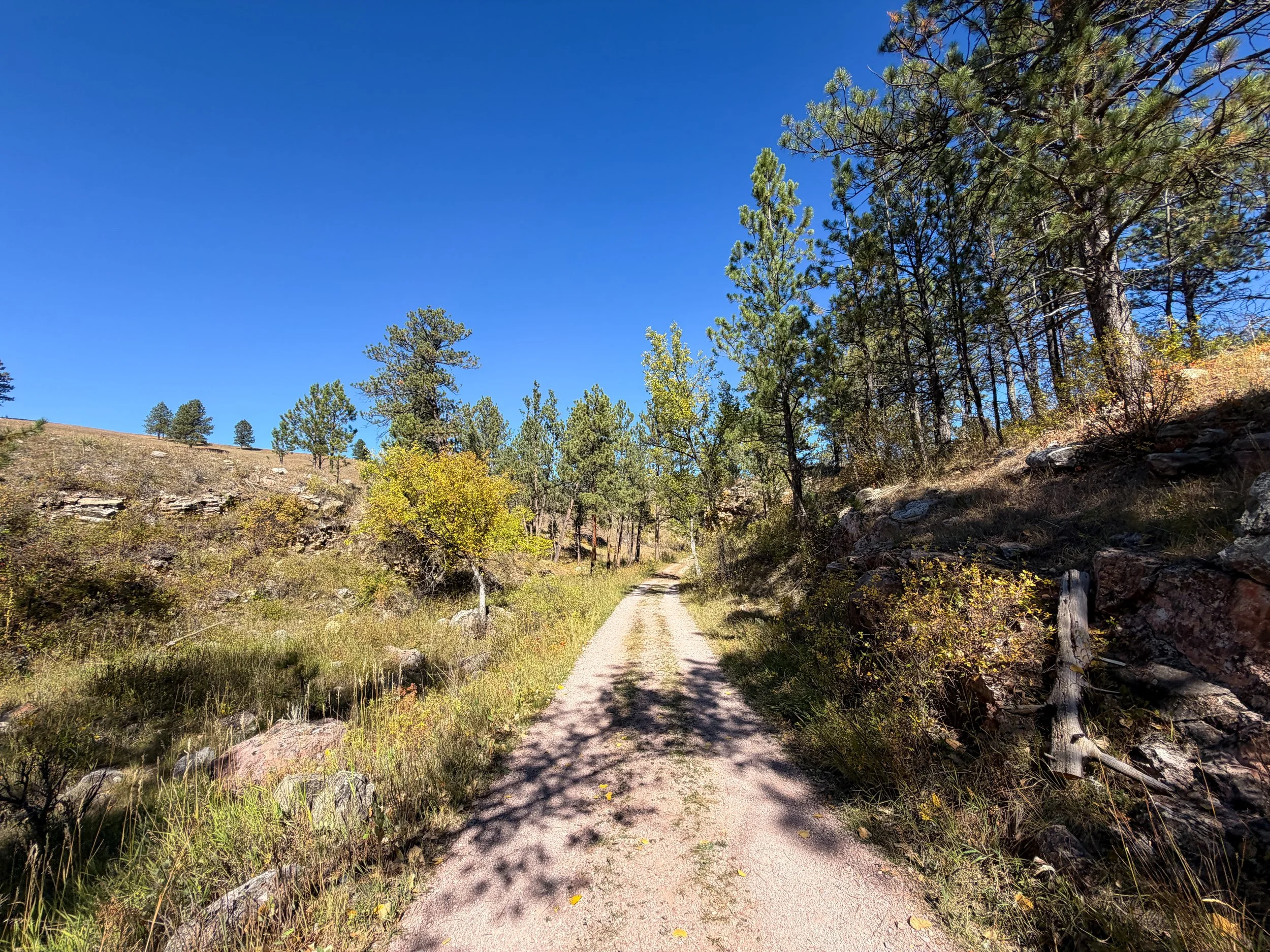 Wind Cave Canyon Hike Wind Cave National Park South Dakota