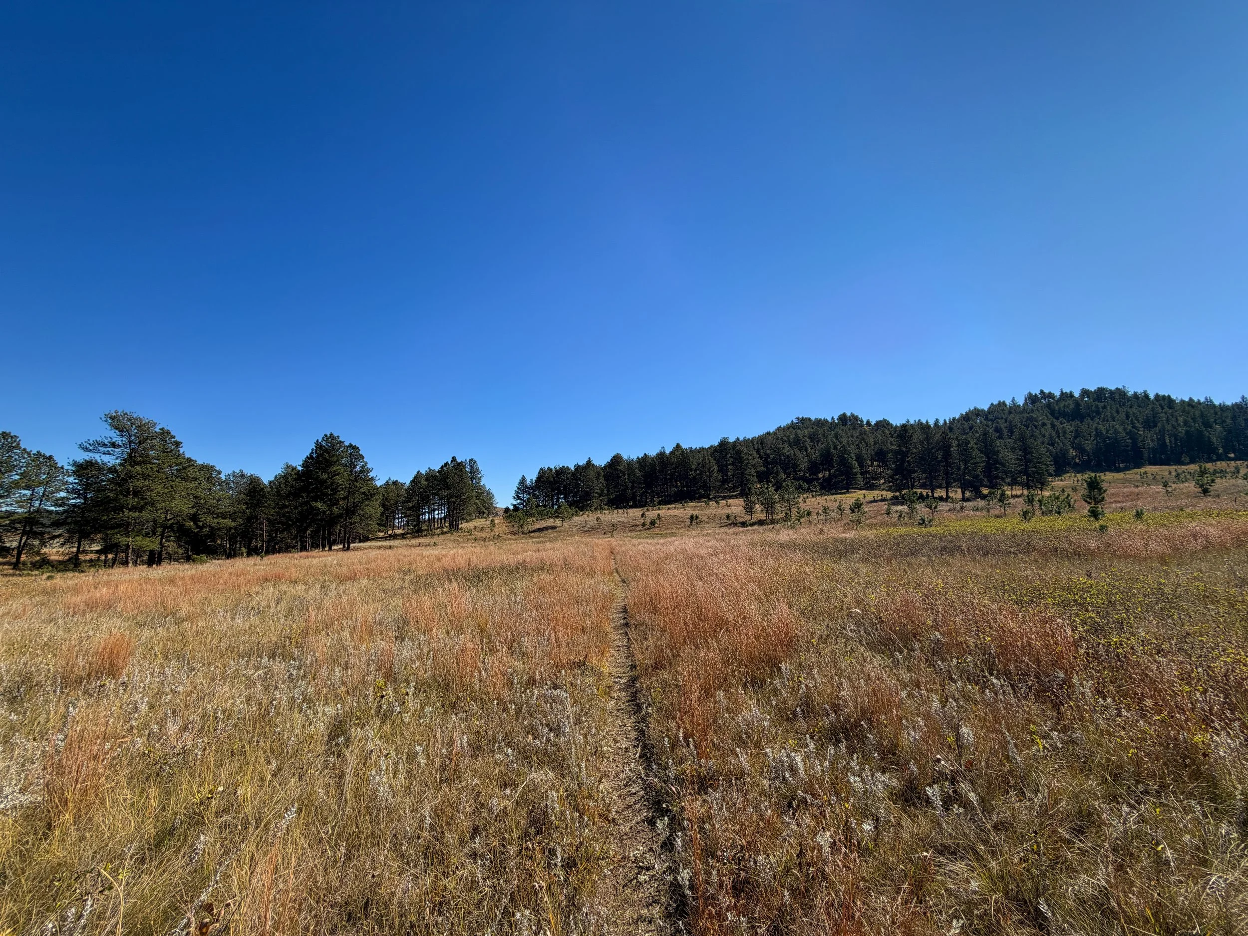 Sanctuary Trail Wind Cave National Park South Dakota