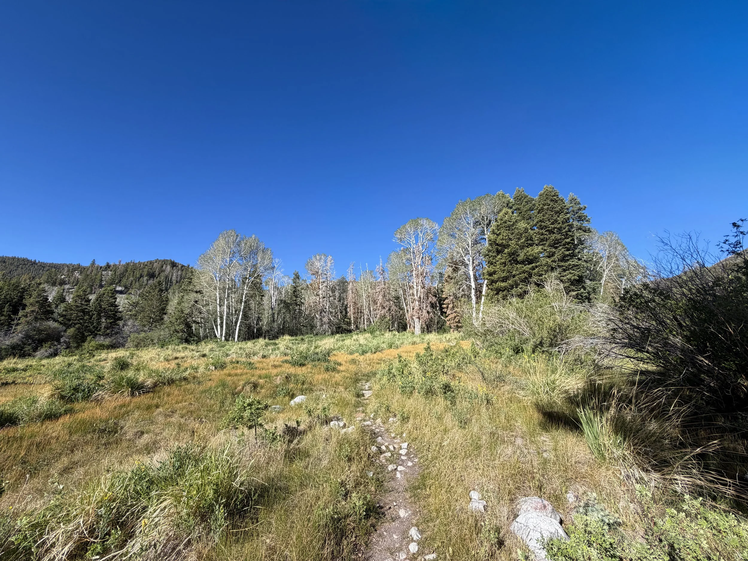 Baker Lake Trail Great Basin National Park Nevada