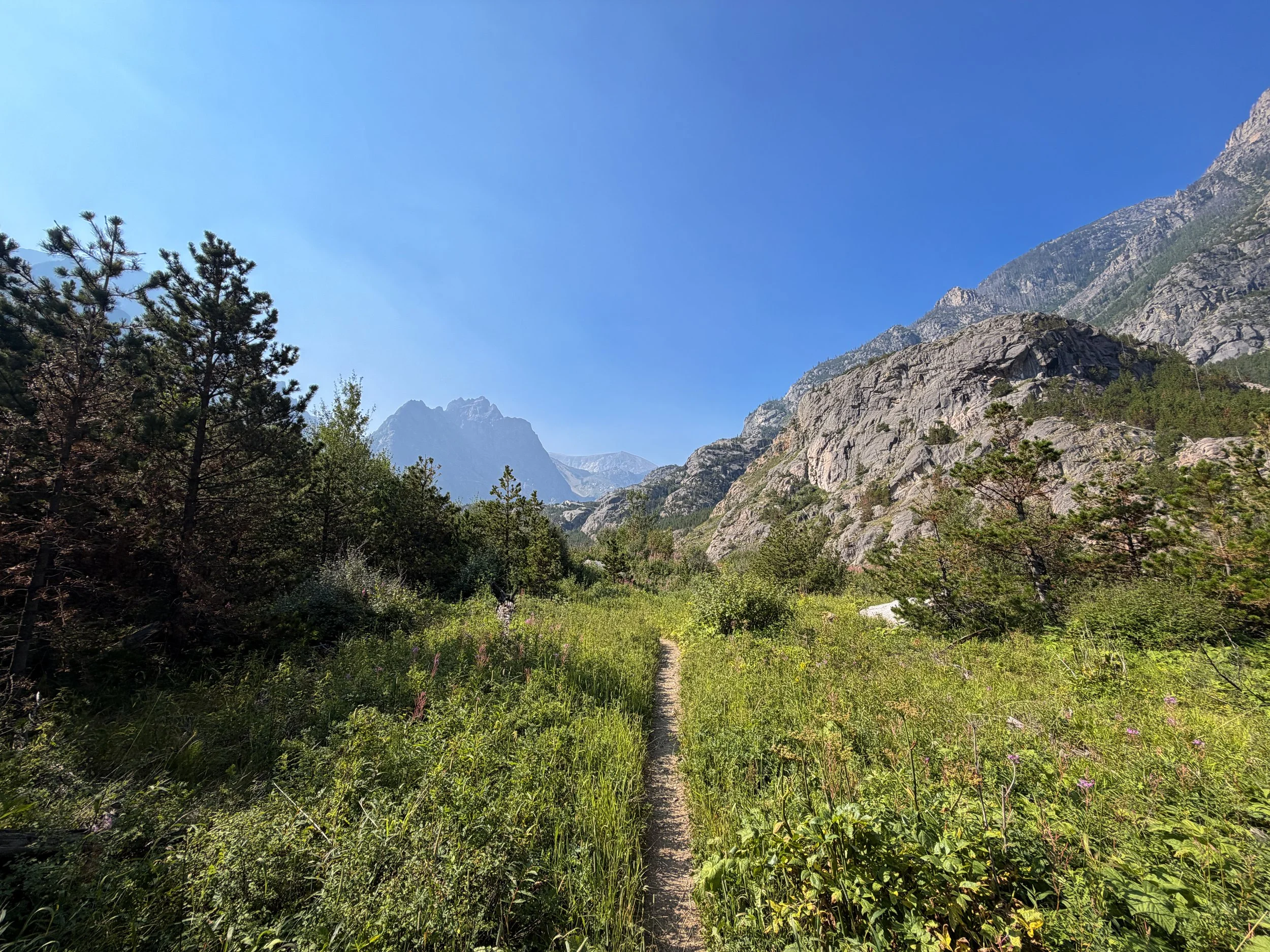 Beaten Path Trail Beartooth Mountains Montana