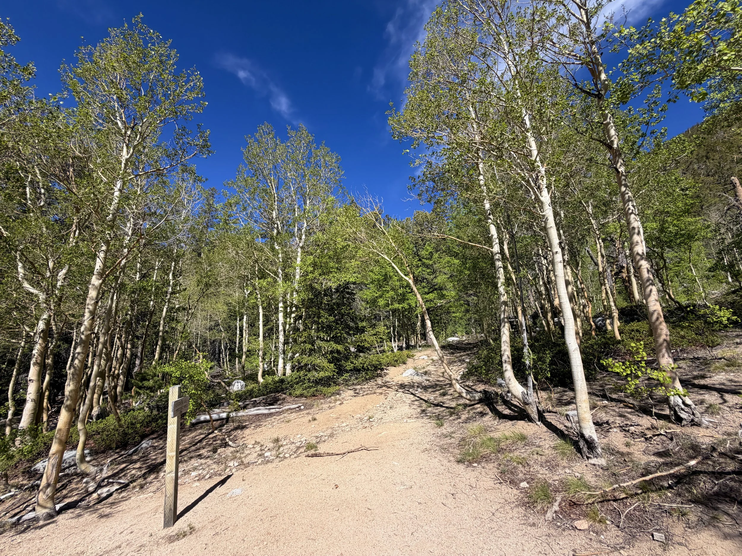 Johnson Mill Historic Site Johnson Lake Trail Great Basin National Park Nevada