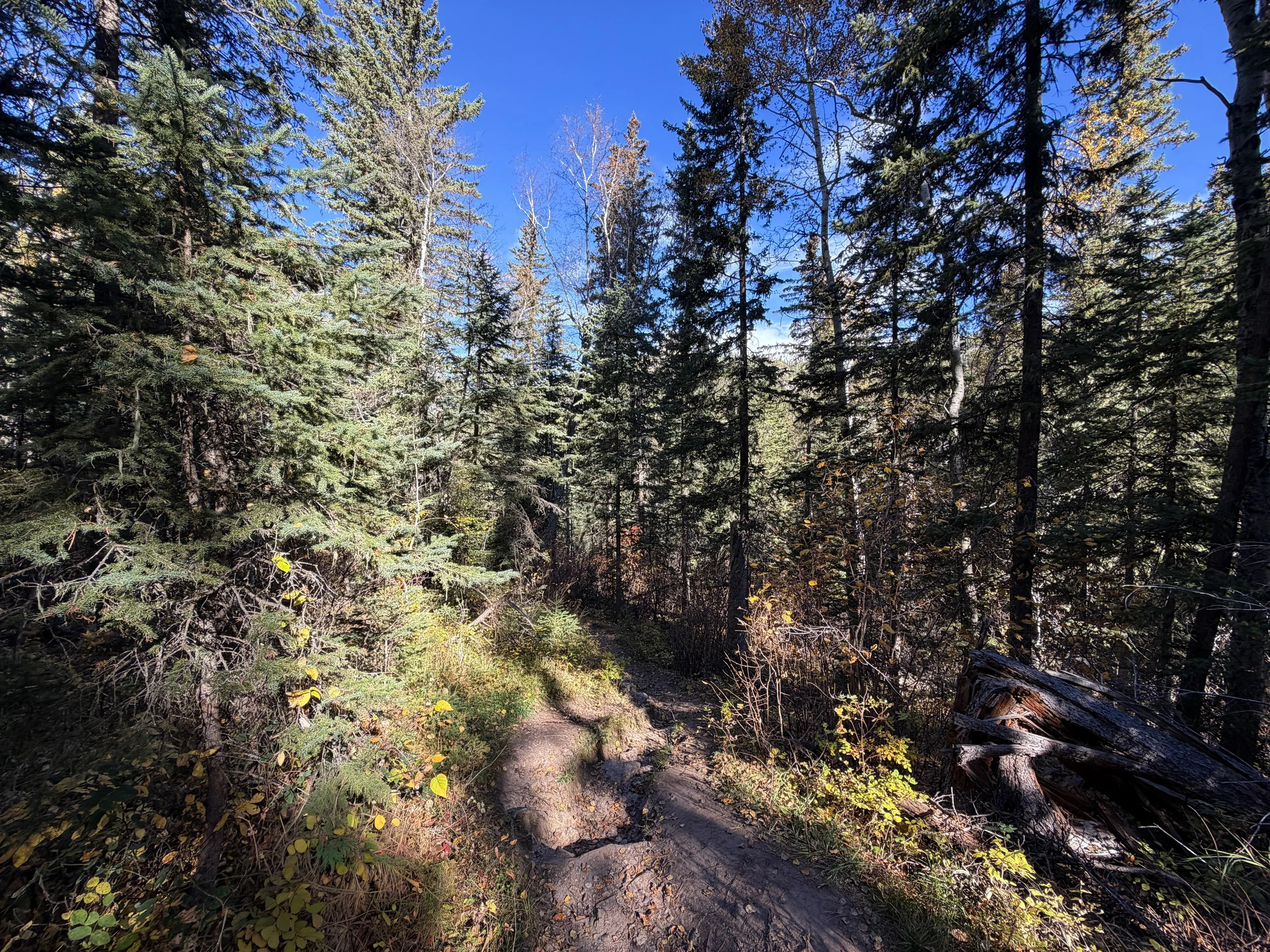 Sunday Gulch Hike Custer State Park Black Hills South Dakota