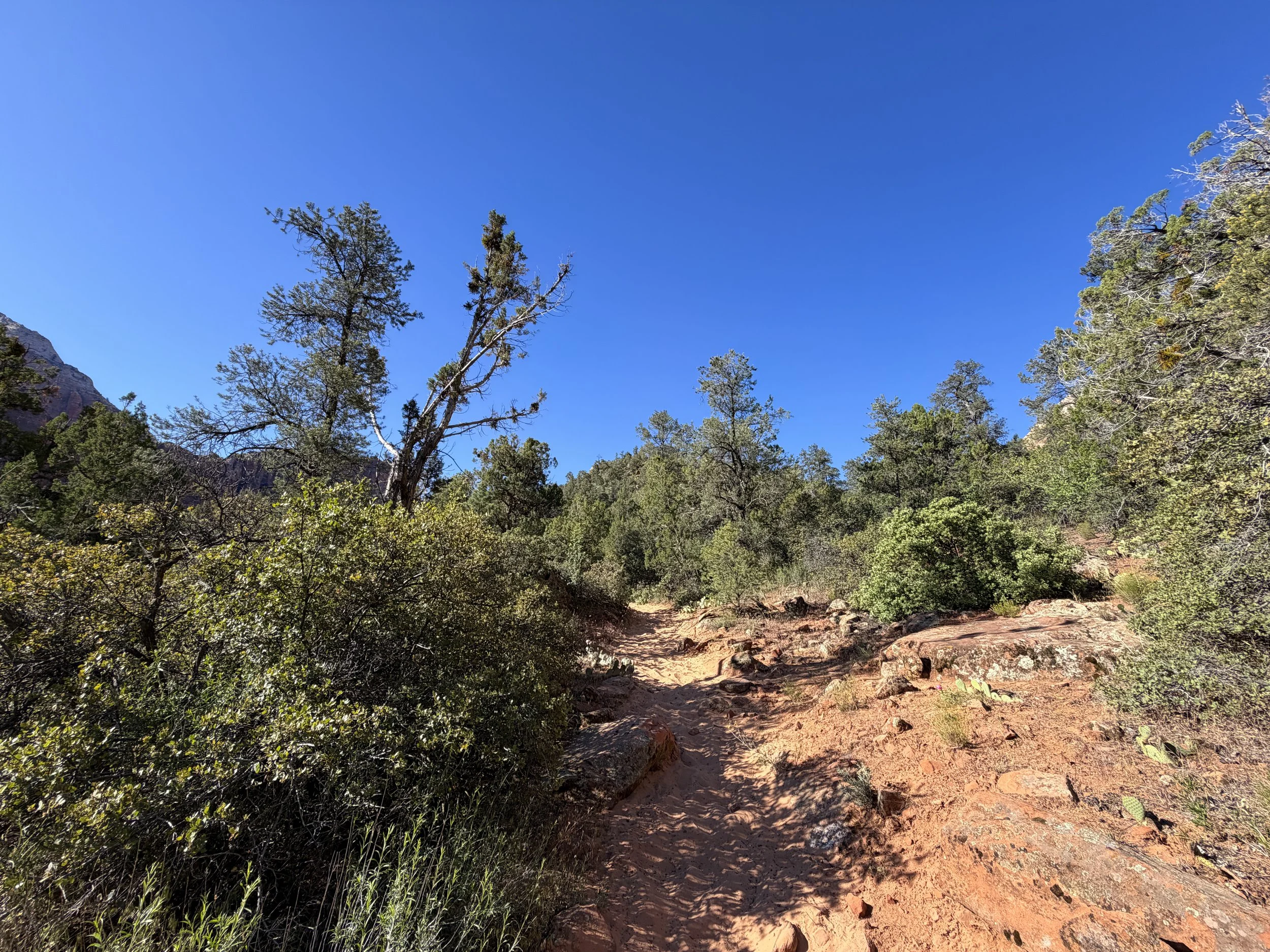 Sand Bench Loop Trail Zion National Park Utah