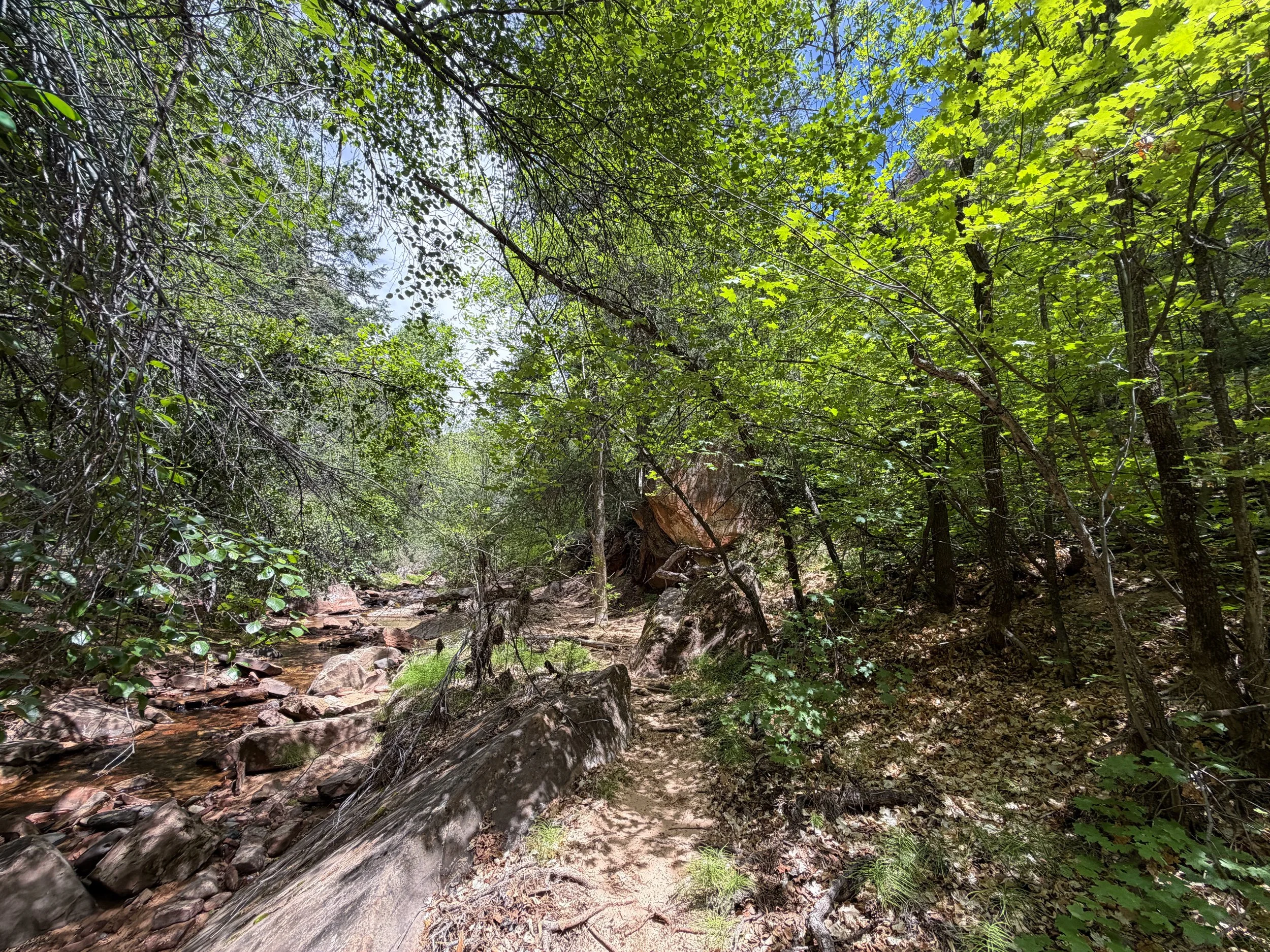 Subway Hike Zion National Park Utah