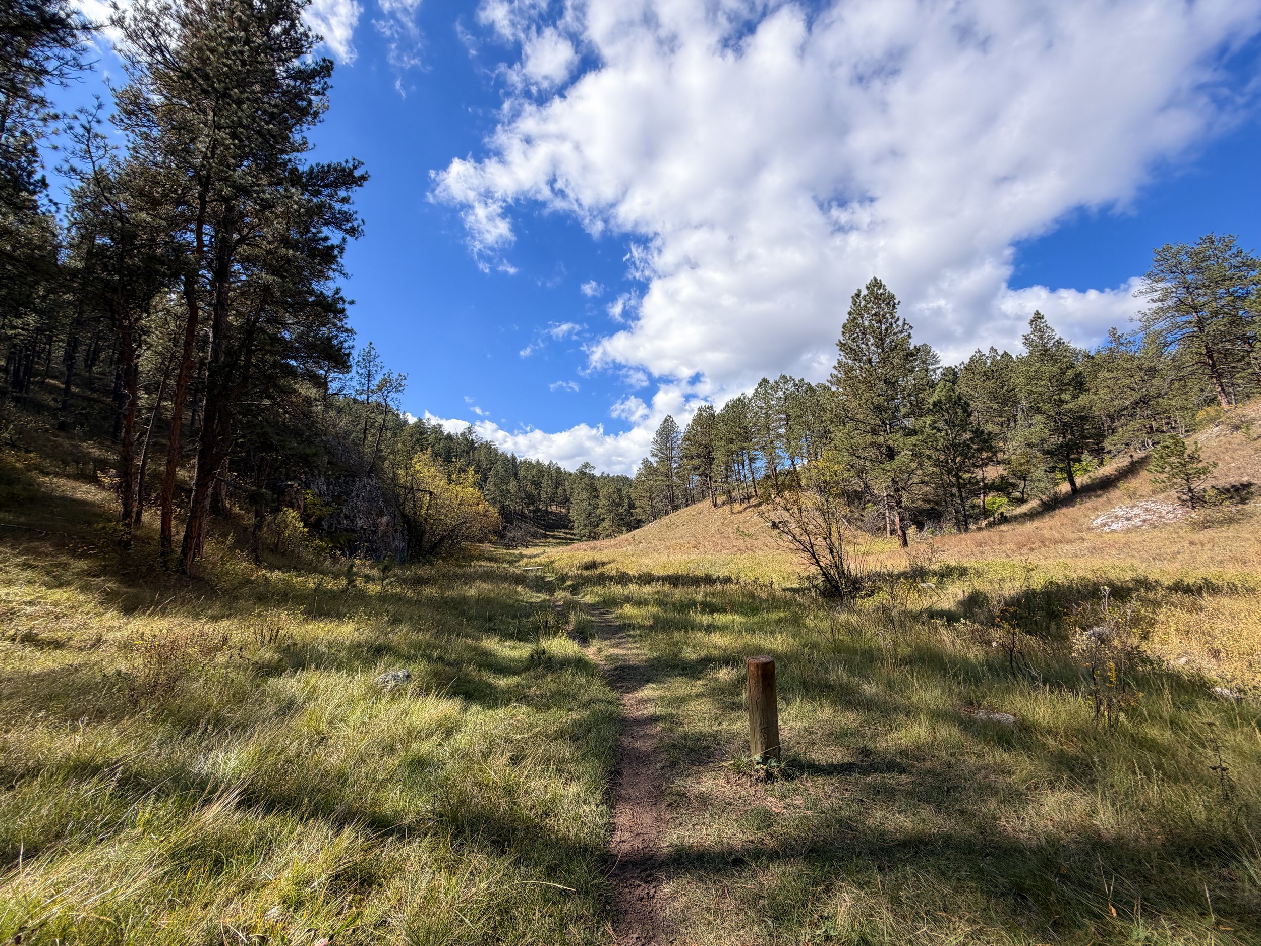 Lookout Point Loop Trail Wind Cave National Park South Dakota