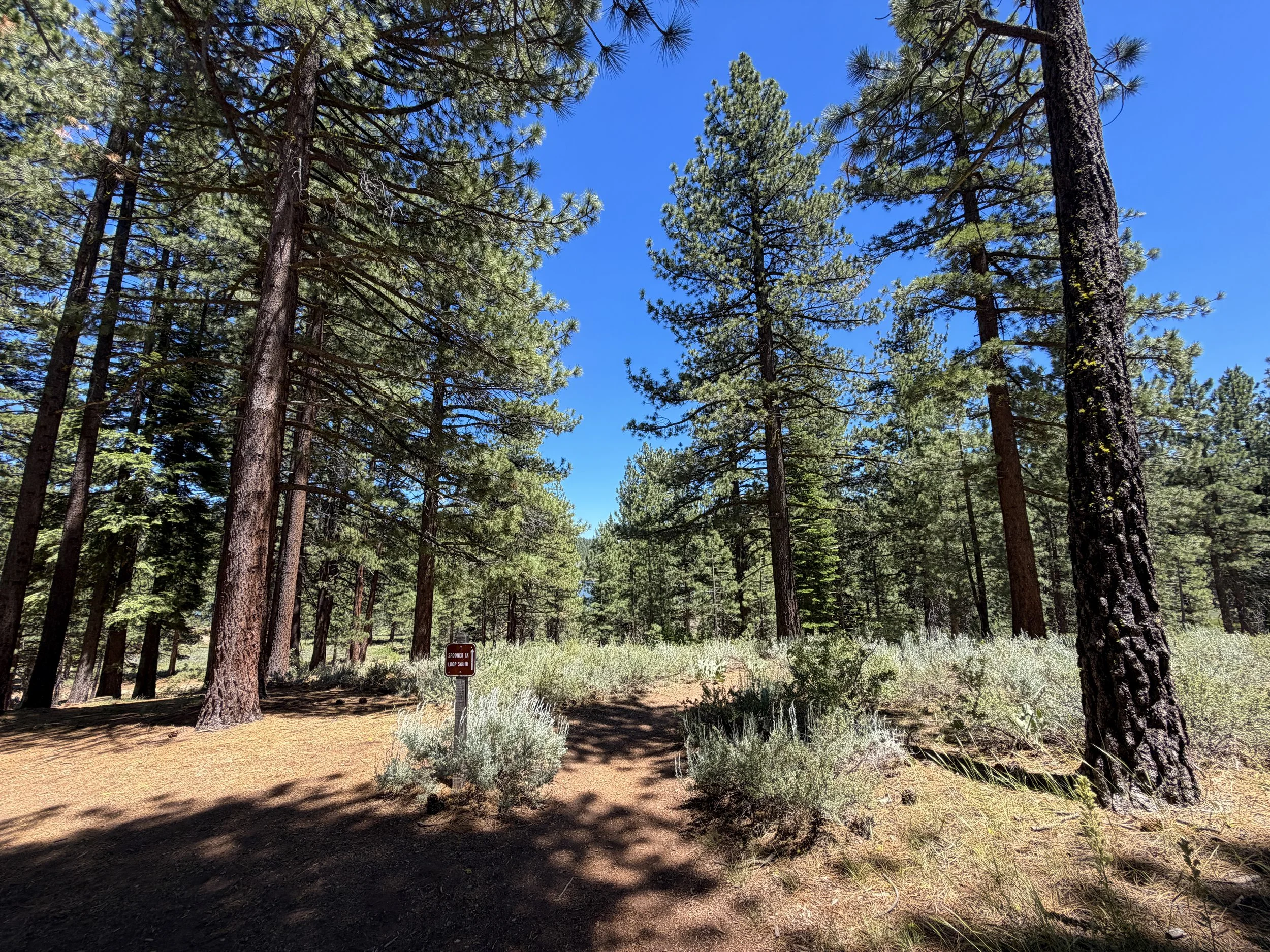 Spooner Lake Loop Trail Lake Tahoe Nevada