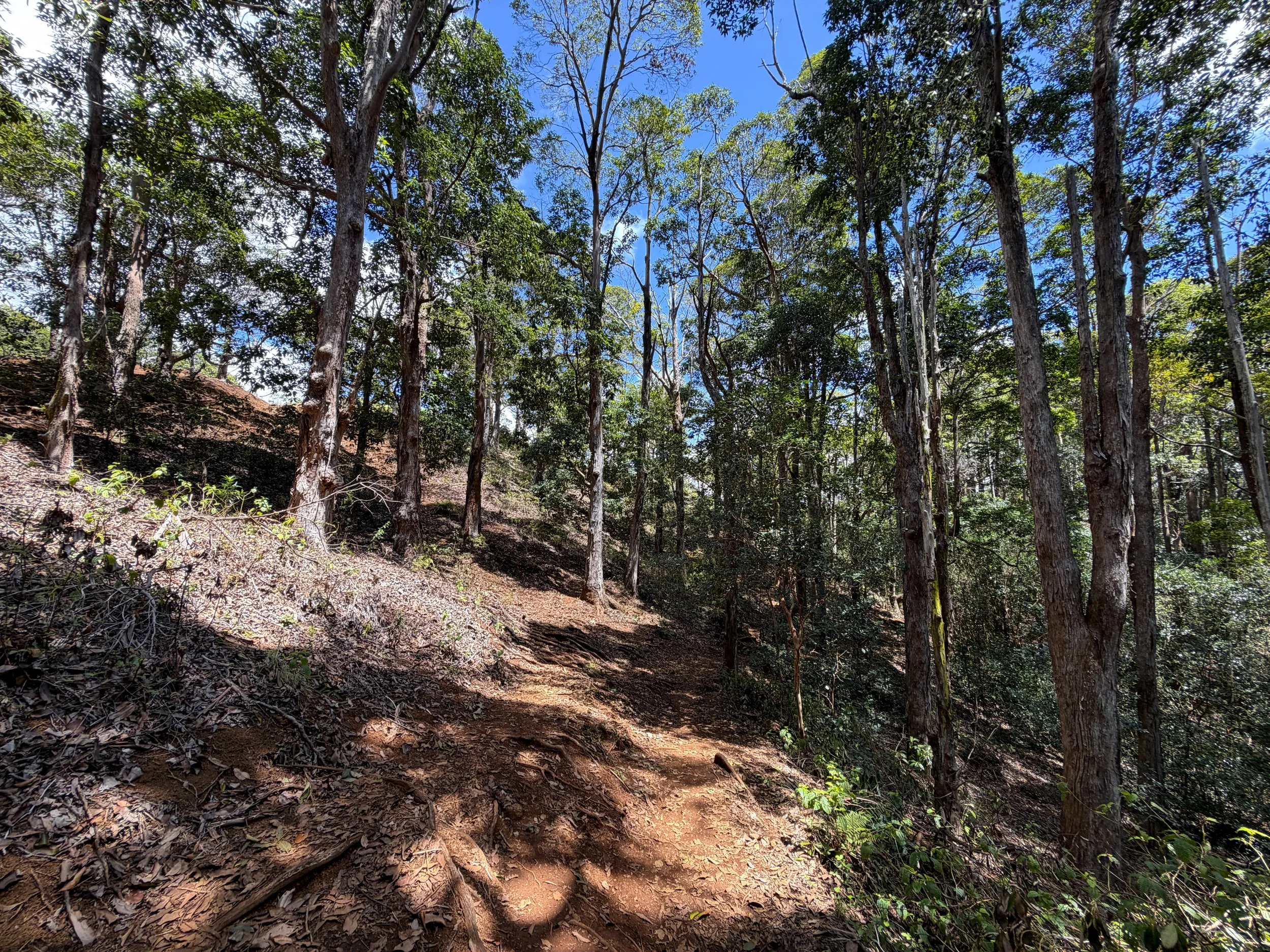 Waimano Pools Trail Oahu Hawaii