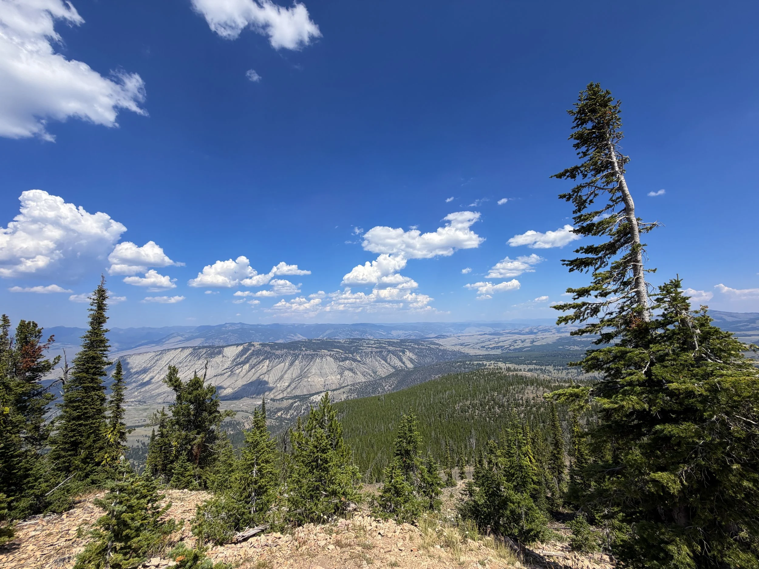 Bunsen Peak Summit Yellowstone National Park Wyoming