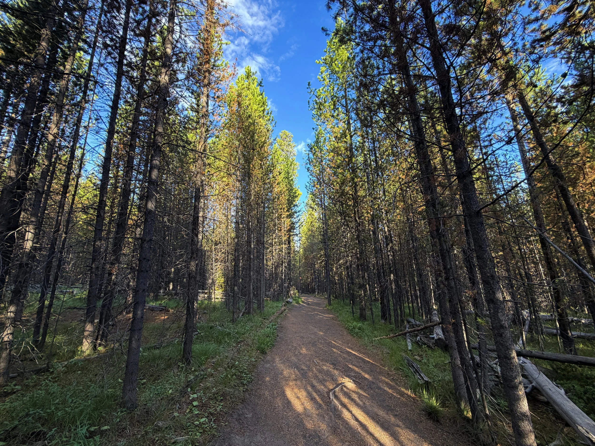 Fairy Falls Trail Yellowstone National Park Wyoming