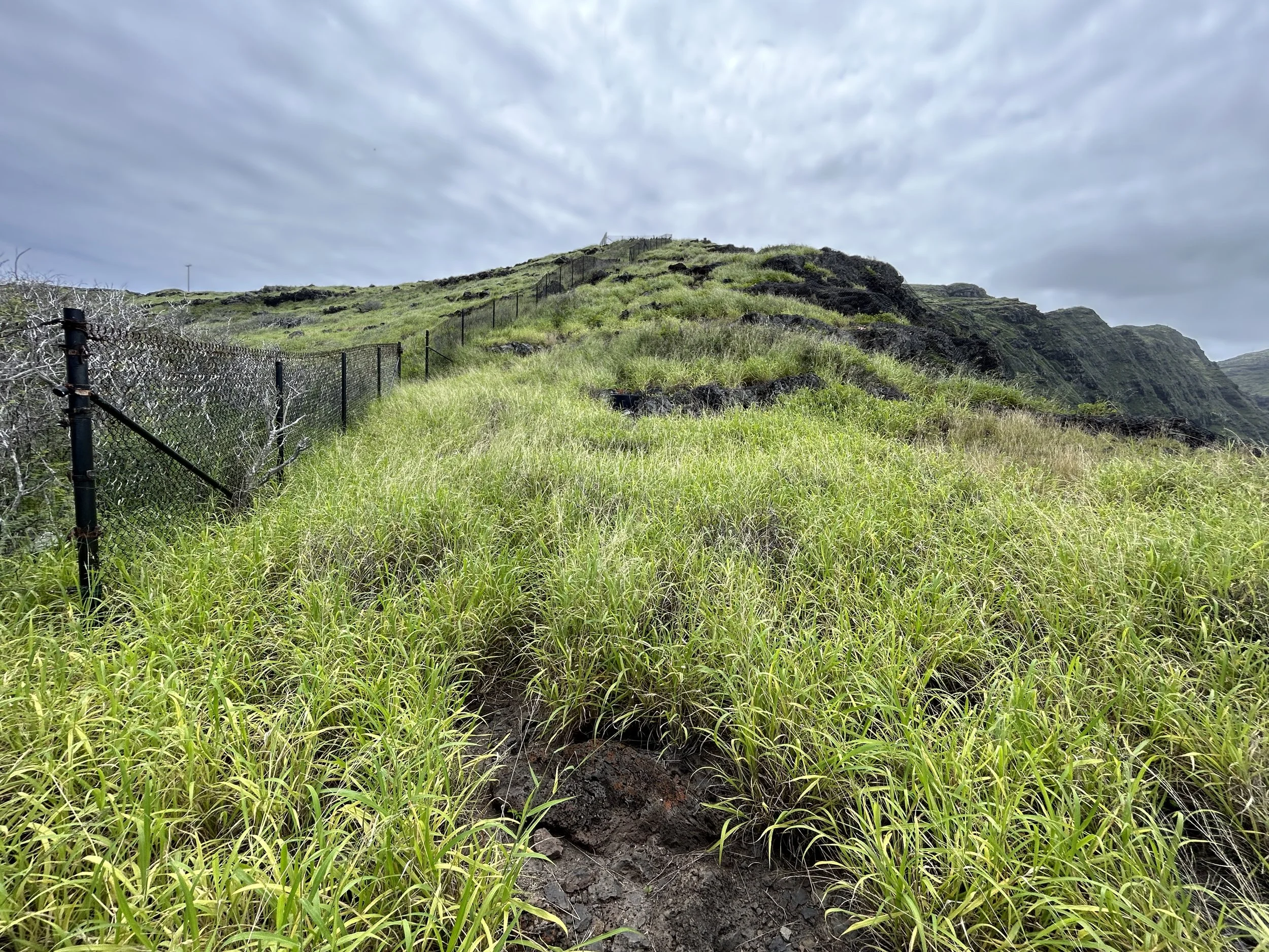 Hiking the Makapuʻu Tom Tom Trail on Oʻahu — noahawaii
