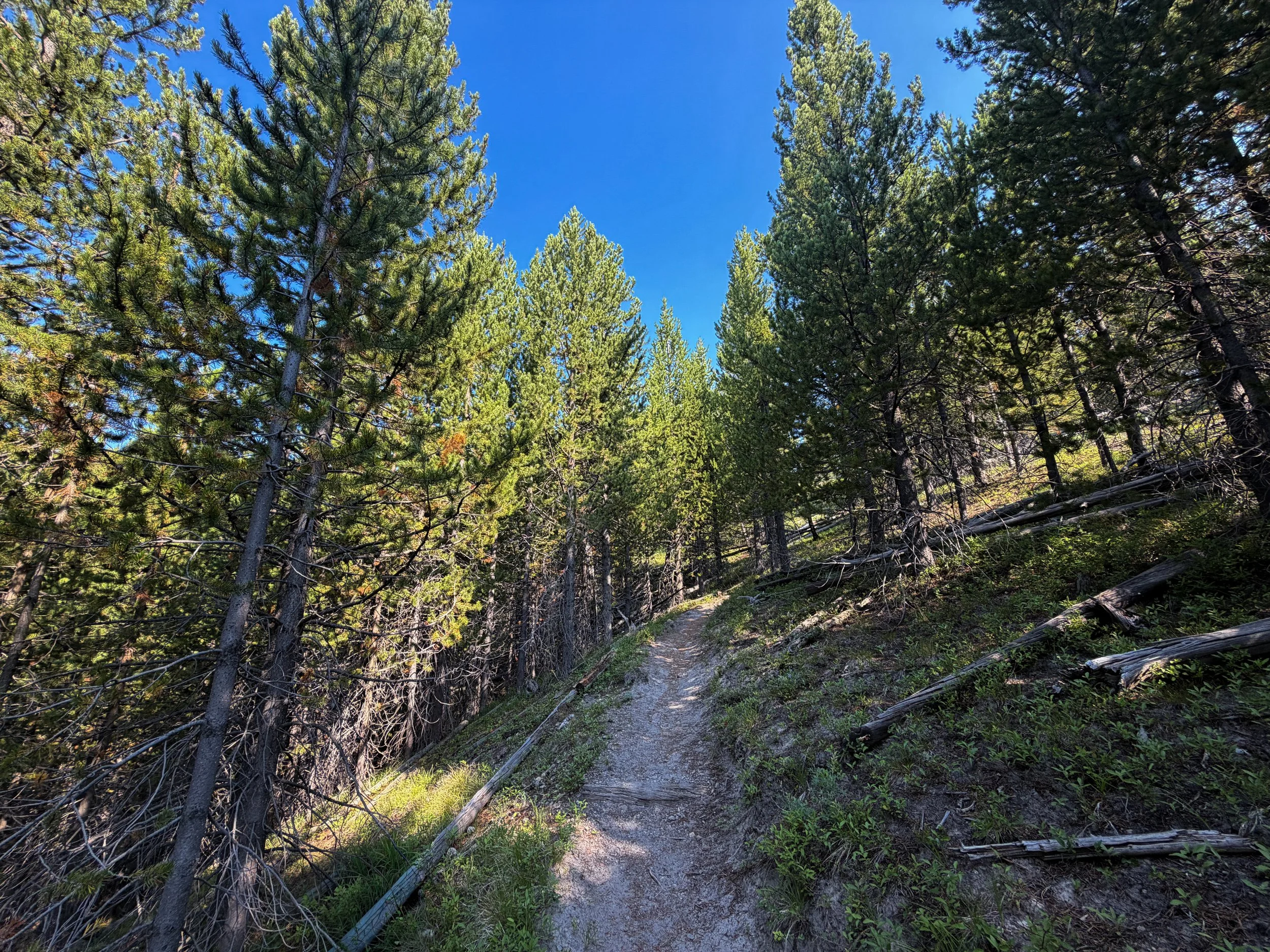 Mystic Falls Trail Yellowstone National Park Wyoming