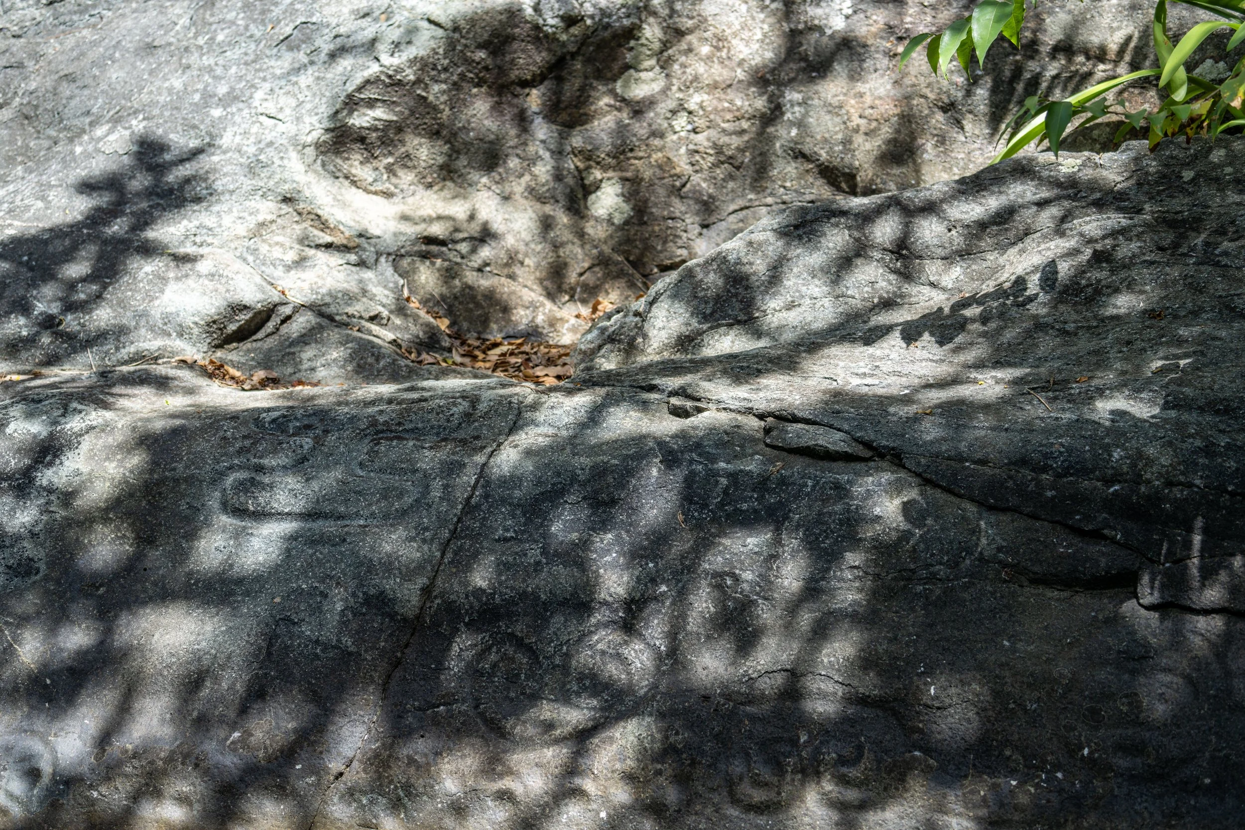 Petroglyph Trail Reef Bay Virgin Islands National Park