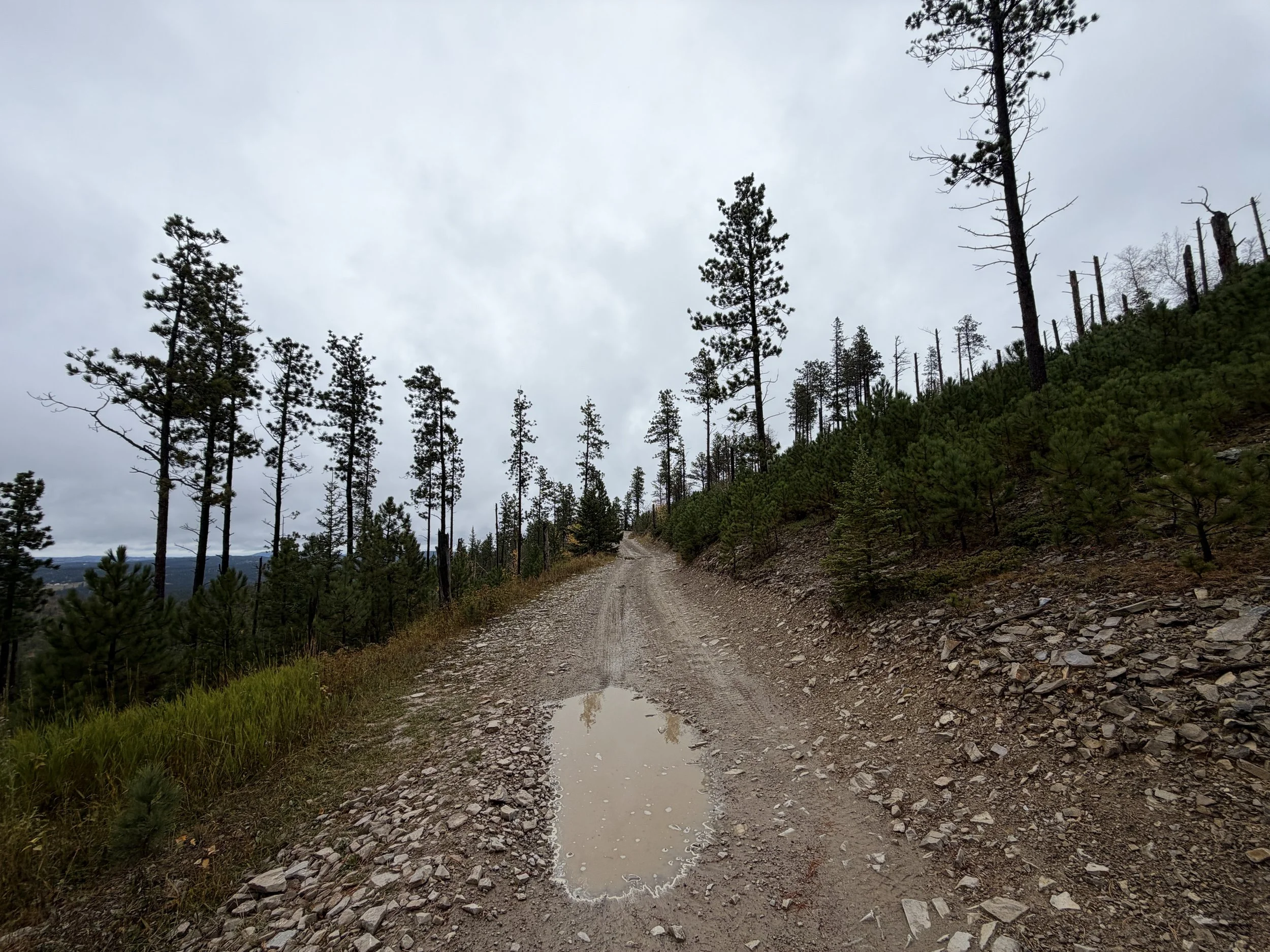 Custer Peak Hike Black Hills South Dakota