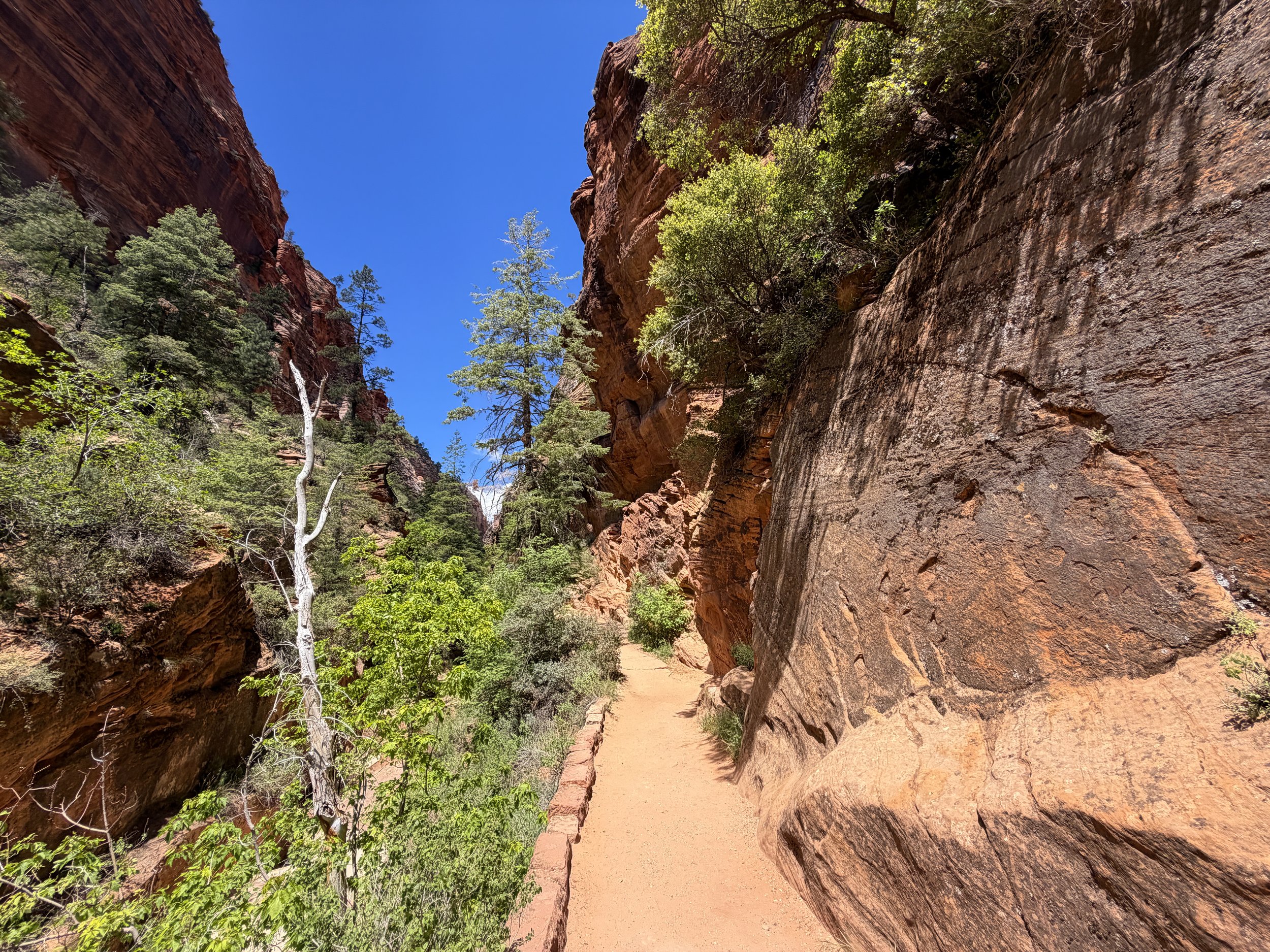Angels Landing Hike Zion National Park Utah