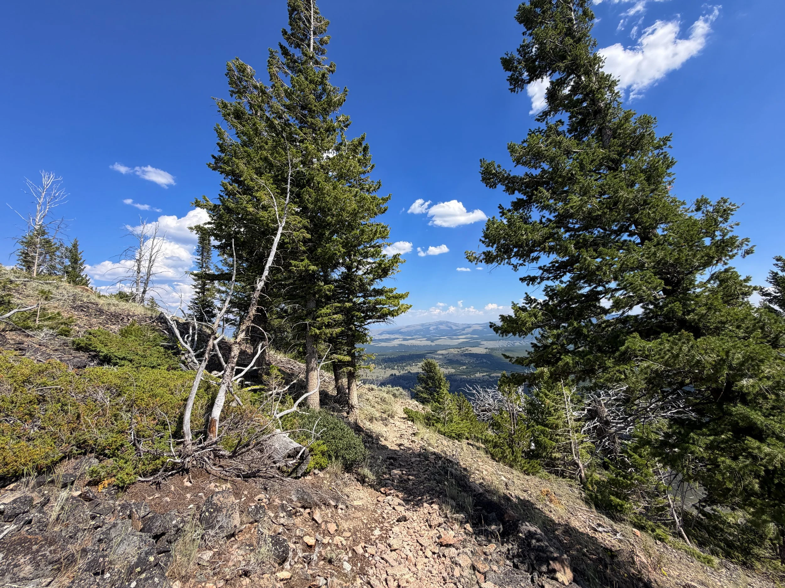 Bunsen Peak Loop Trail Yellowstone National Park Wyoming