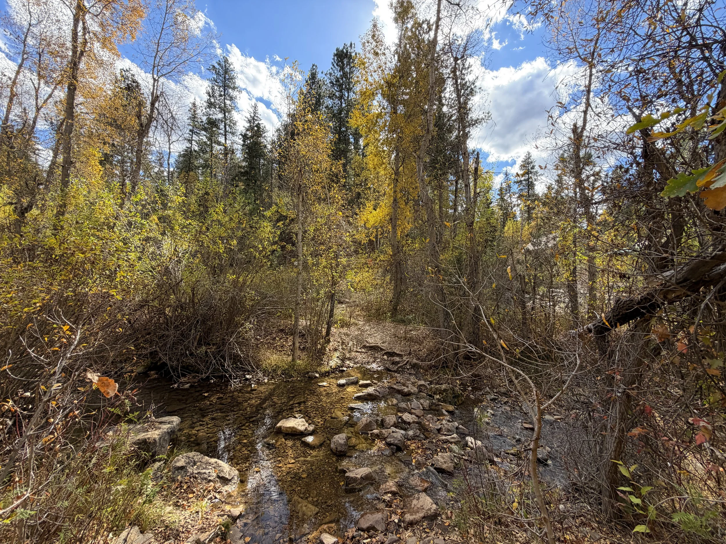 Devils Bathtub Hike Spearfish Canyon Black Hills South Dakota
