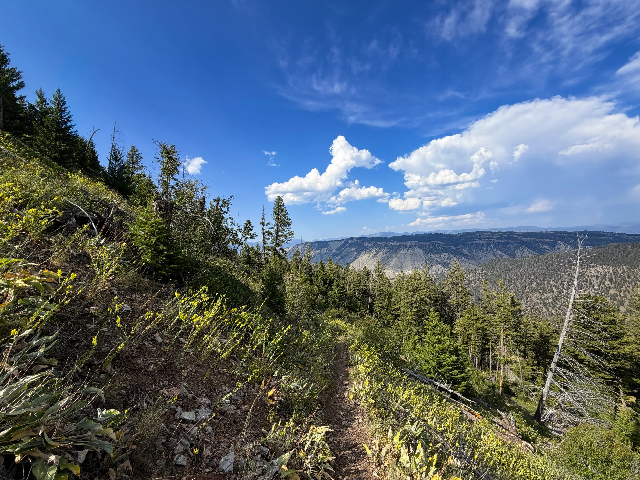 Bunsen Peak Trail Yellowstone National Park Wyoming