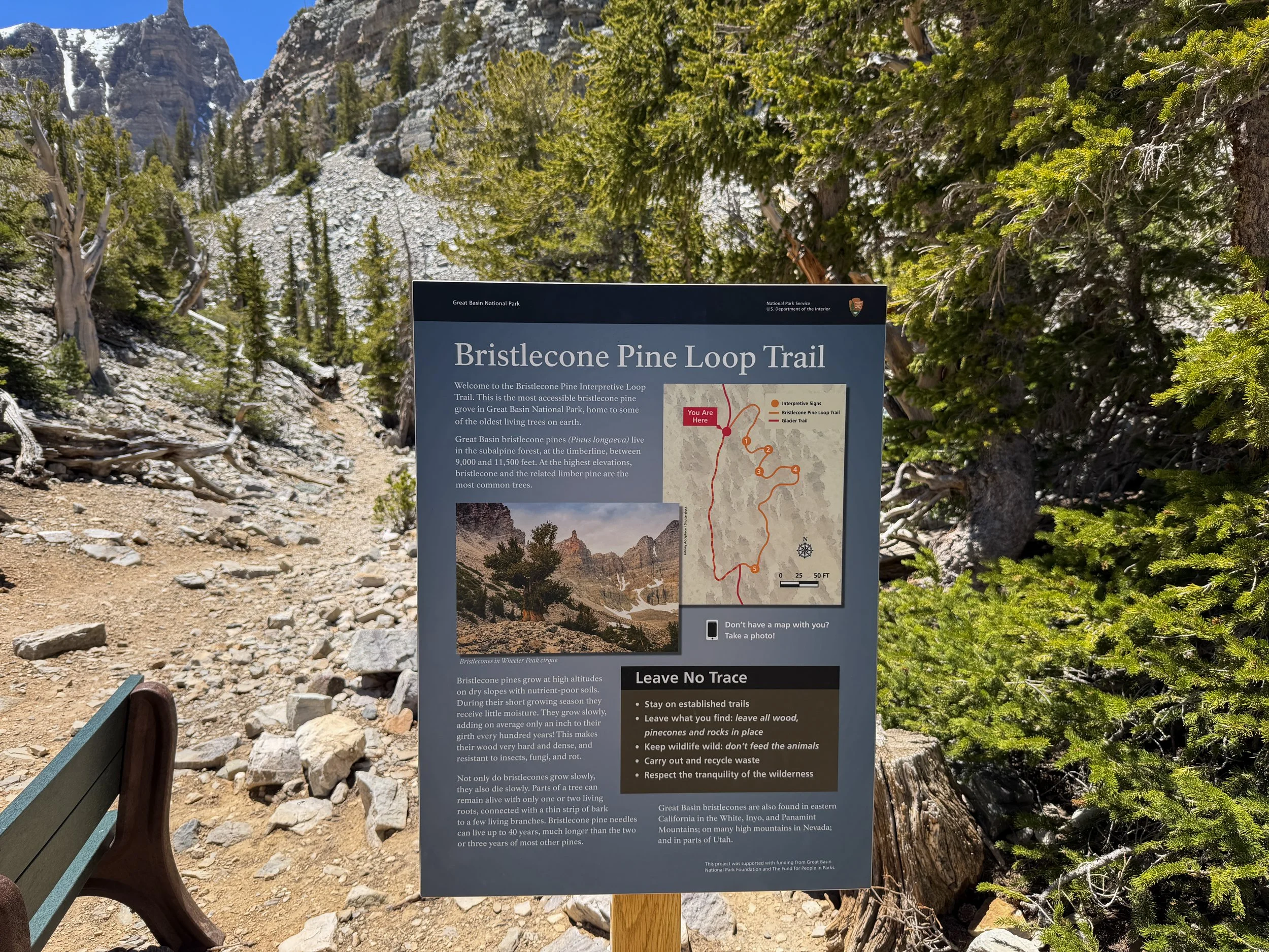 Bristlecone Pine Loop Trail Great Basin National Park Nevada