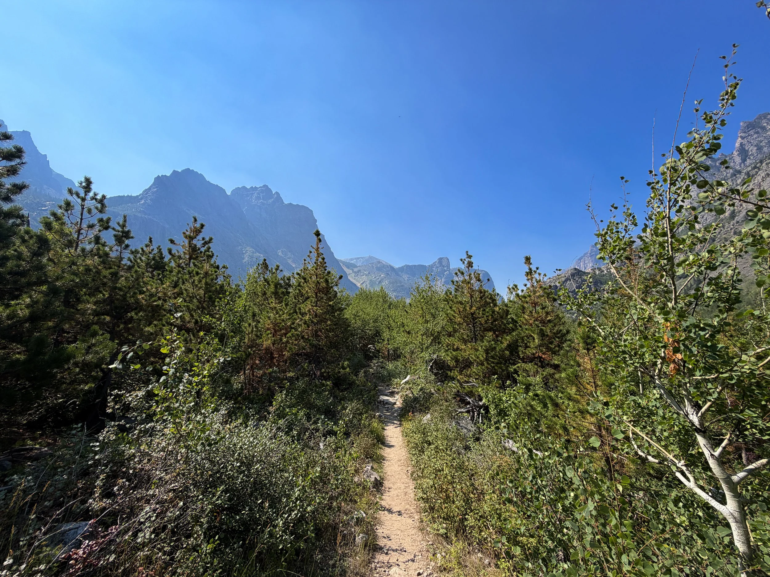 The Beaten Path Hike Beartooth Mountains Montana