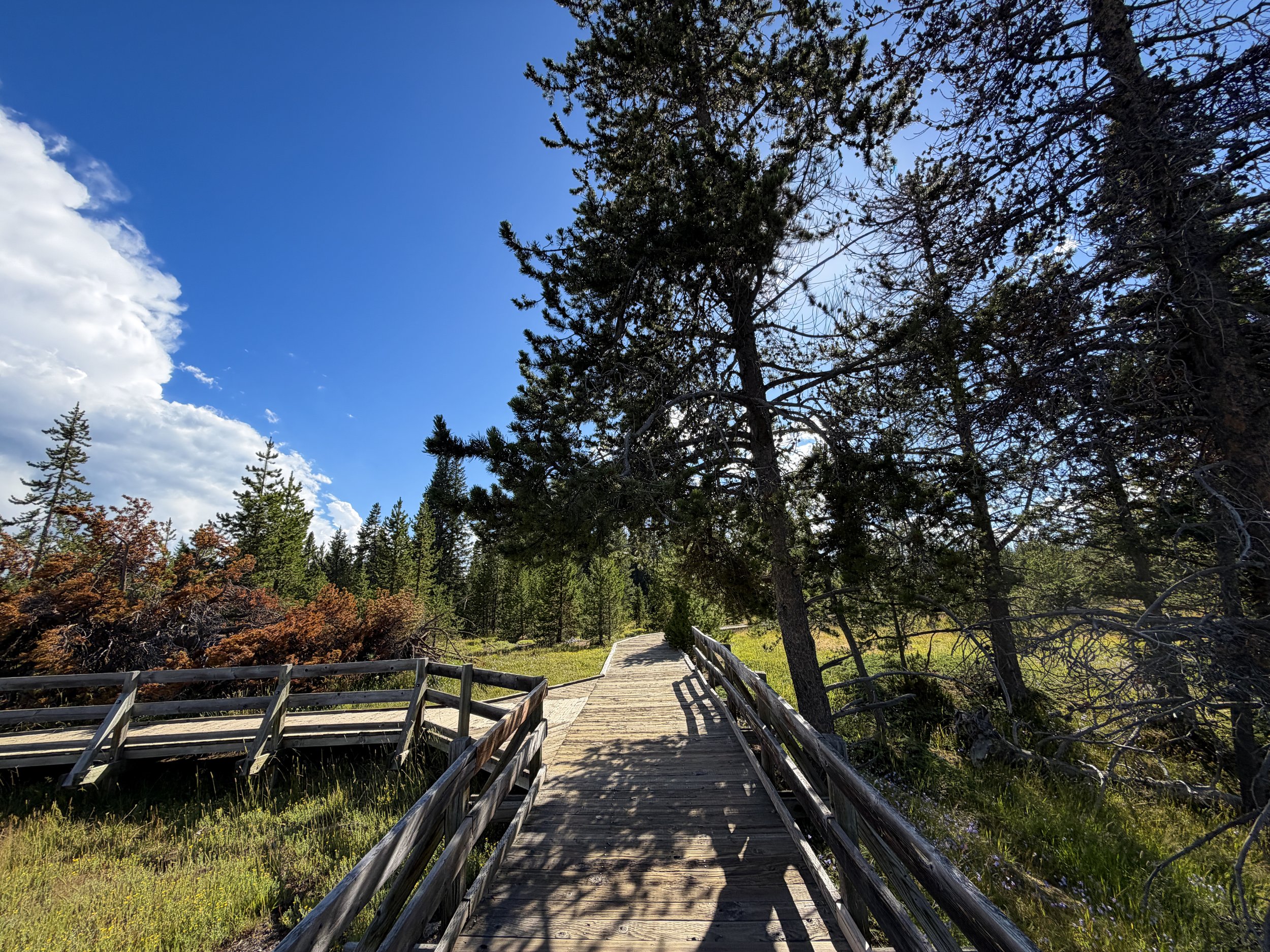 West Thumb Geyser Basin Trail Yellowstone National Park Wyoming