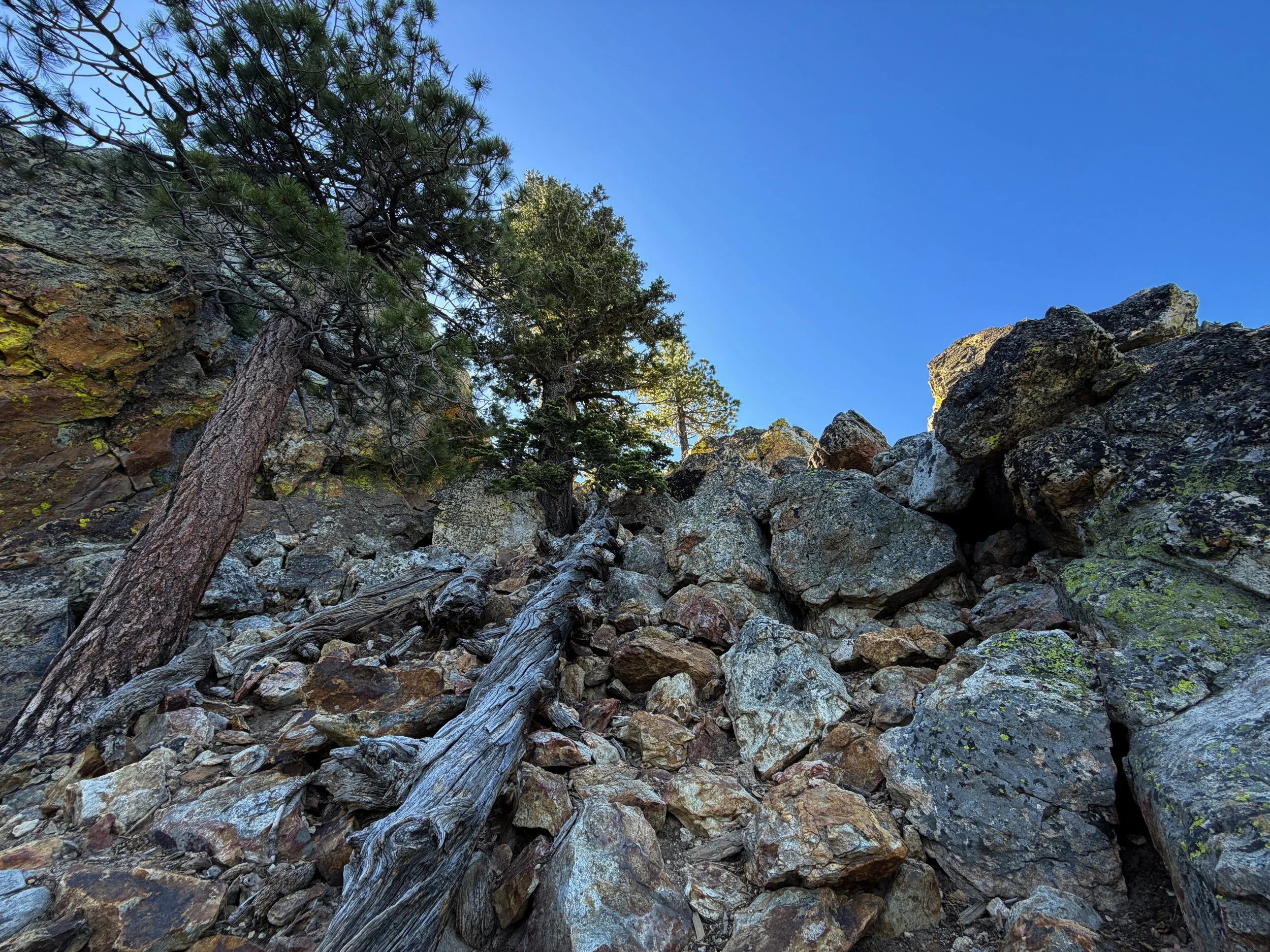 Castle Rock Trail Lake Tahoe Nevada