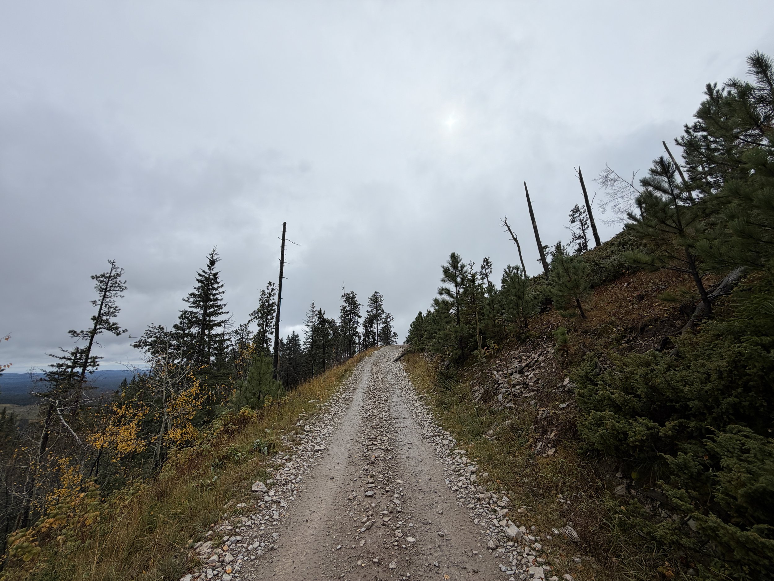 Custer Peak Lookout Hike Black Hills South Dakota