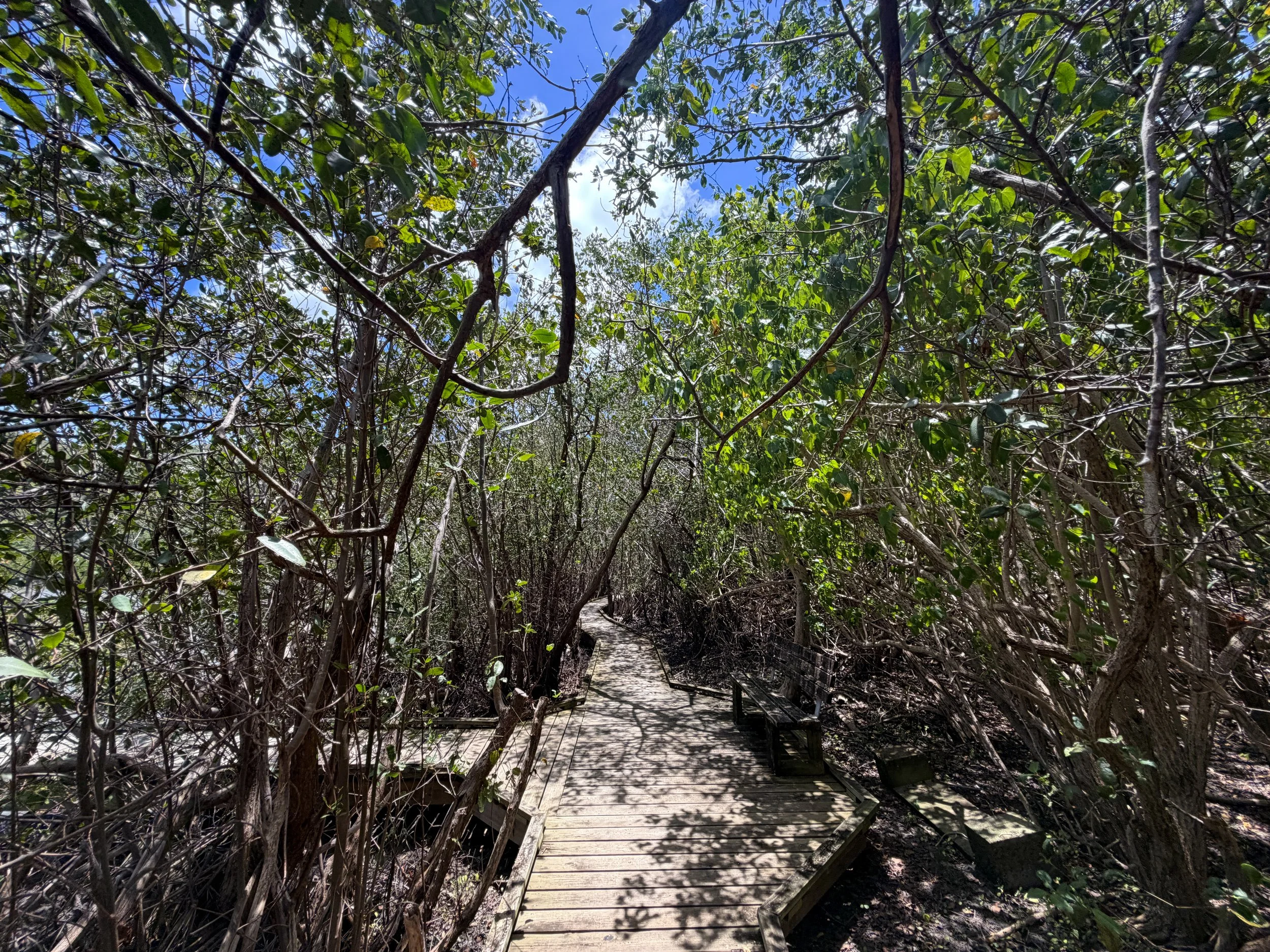 Francis Bay Trail Virgin Islands National Park