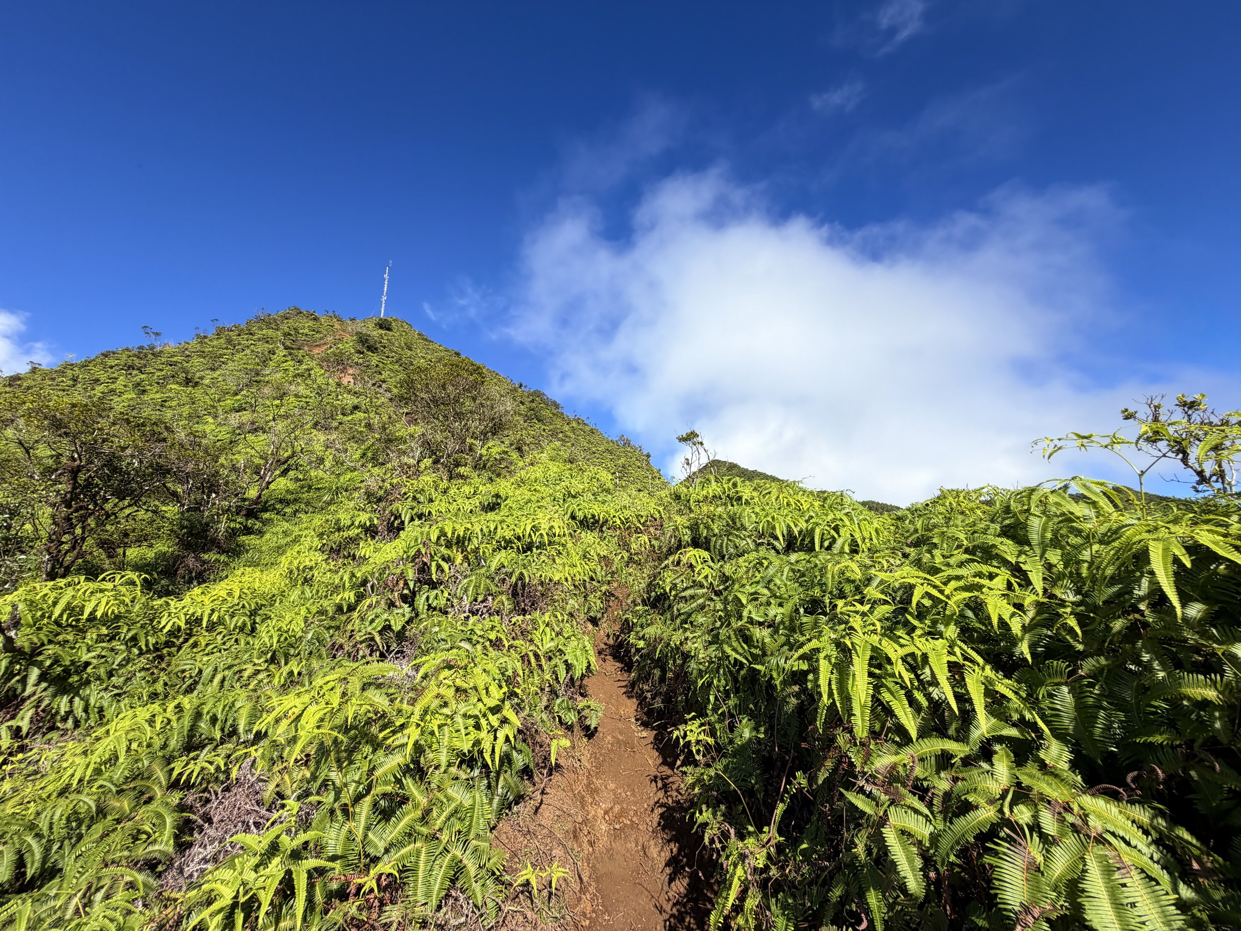 Wiliwilinui Ridge Trail Stairs Oahu Hawaii