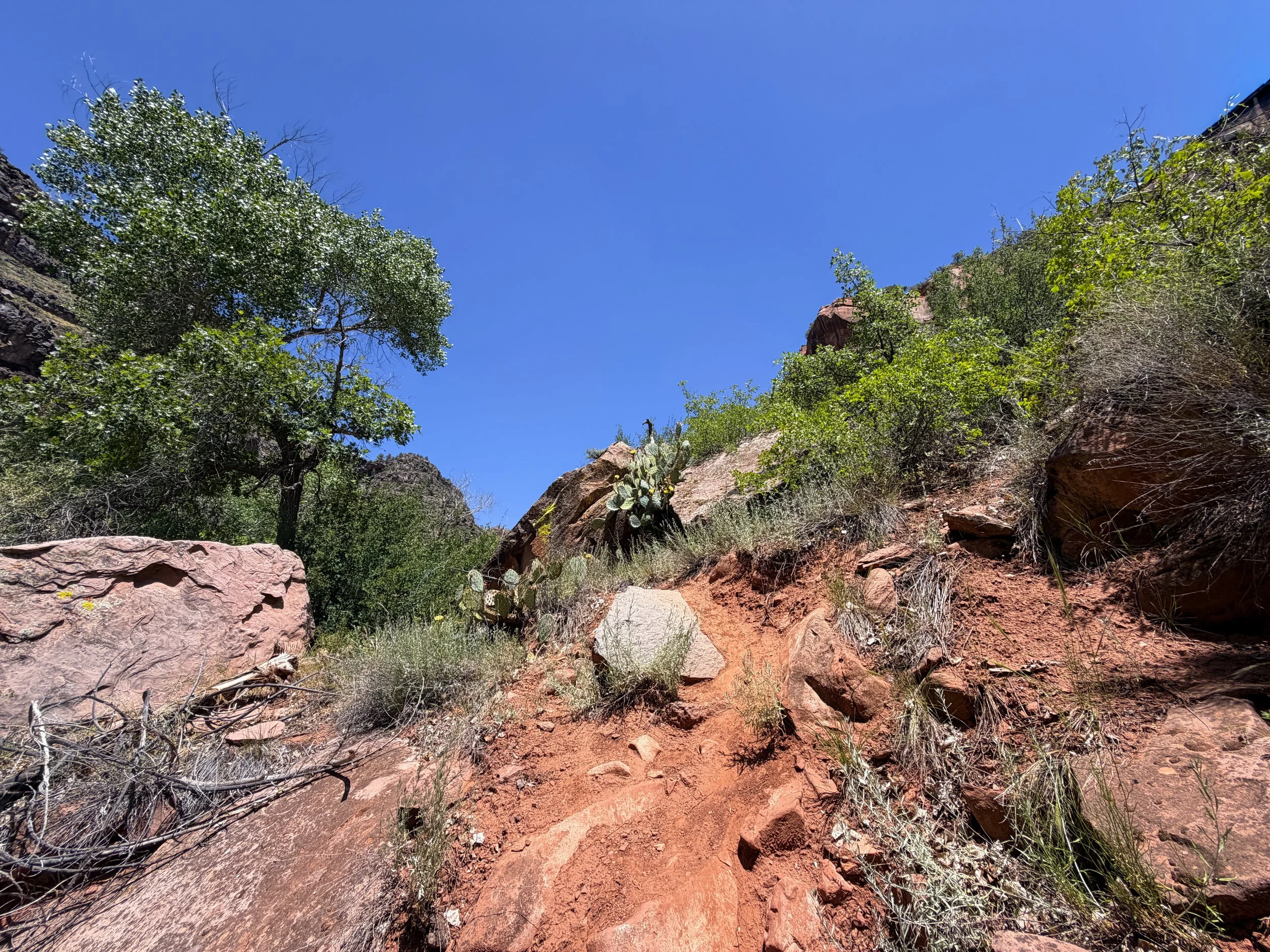 Grapevine Trail to Left Fork Falls Zion National Park Utah