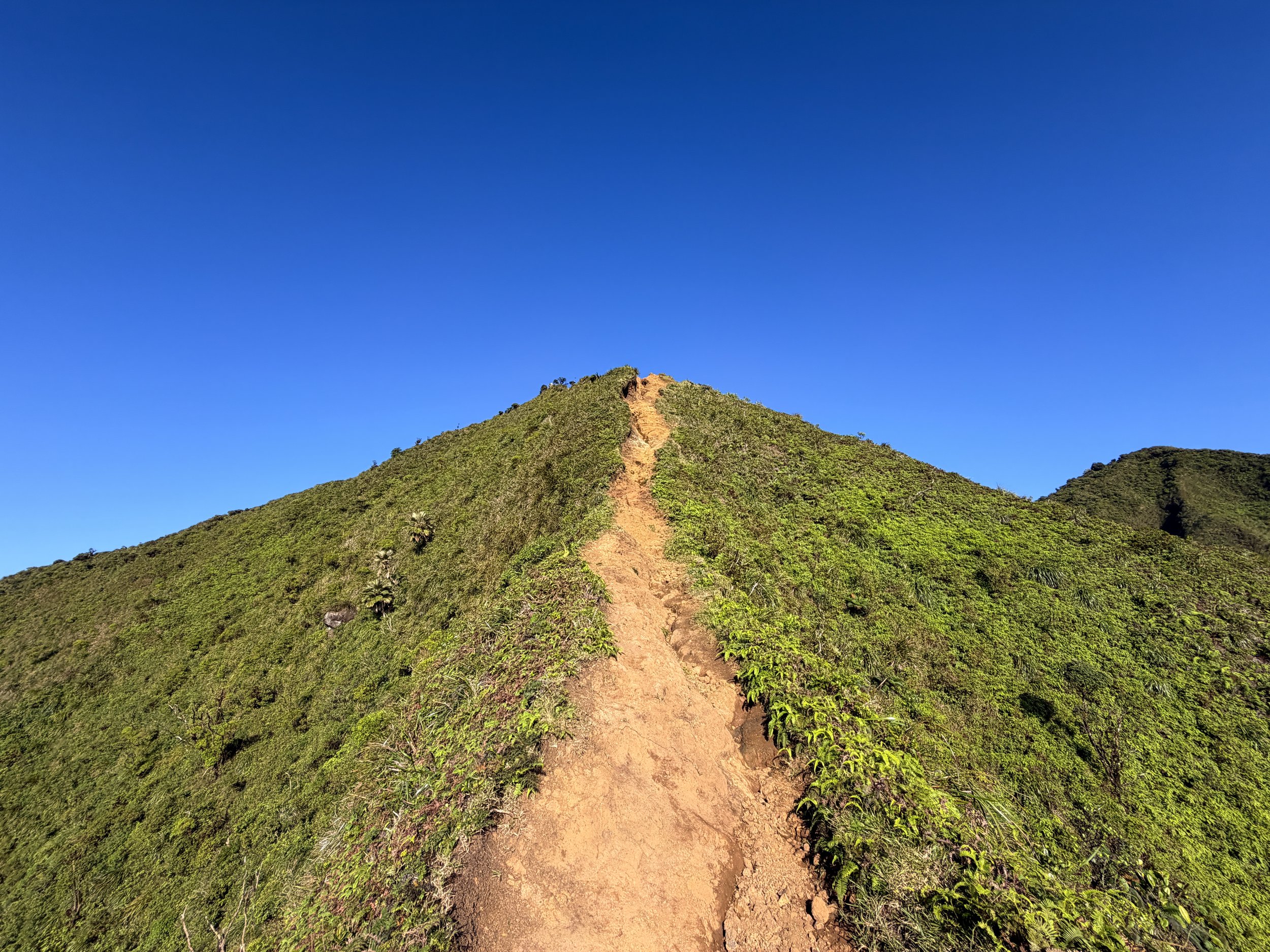 Moanalua Middle Ridge Trail to Stairway to Heaven Oahu Hawaii